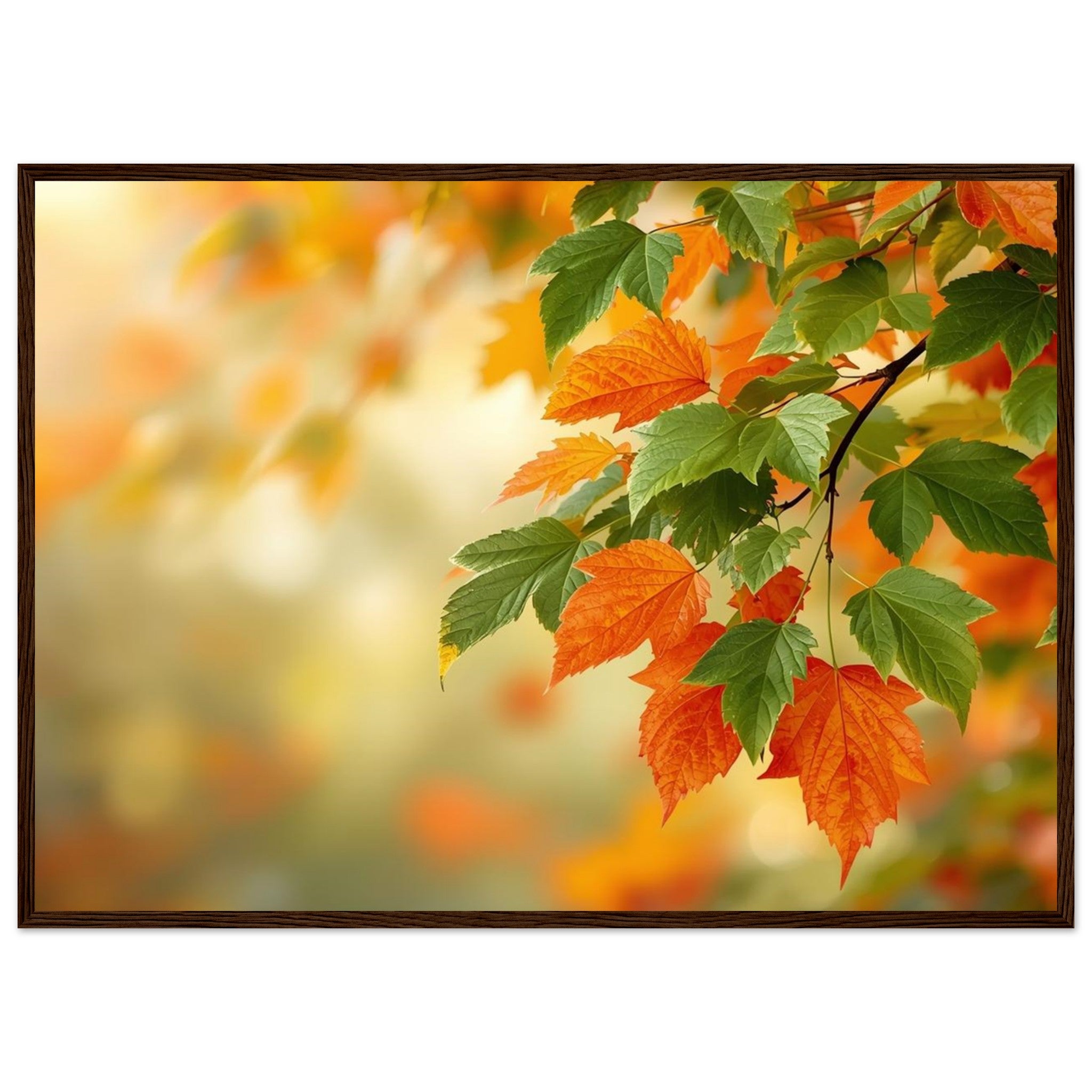 020ae044-3666-487a-9d63-65bb940feb96