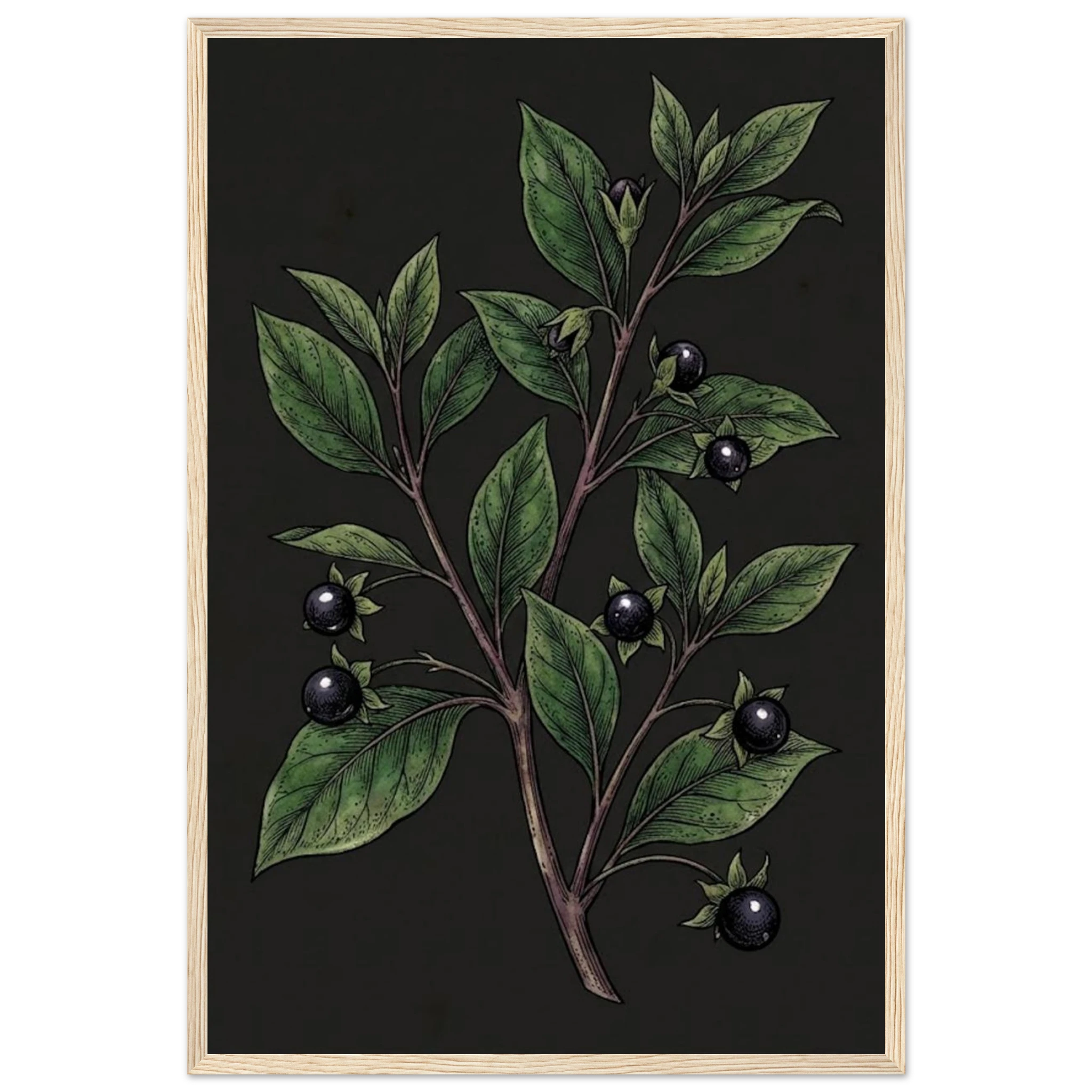 02e243a1-d6d2-488c-b9e6-d57b2ea1a708