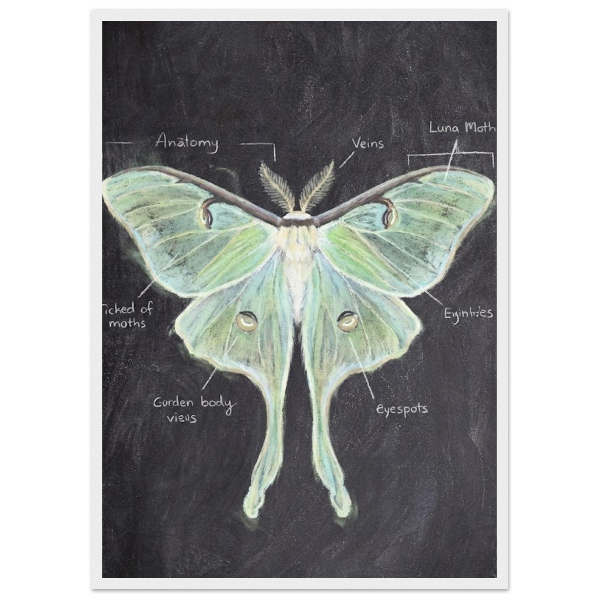 043e5a64-9657-41c7-be74-7153488d4246