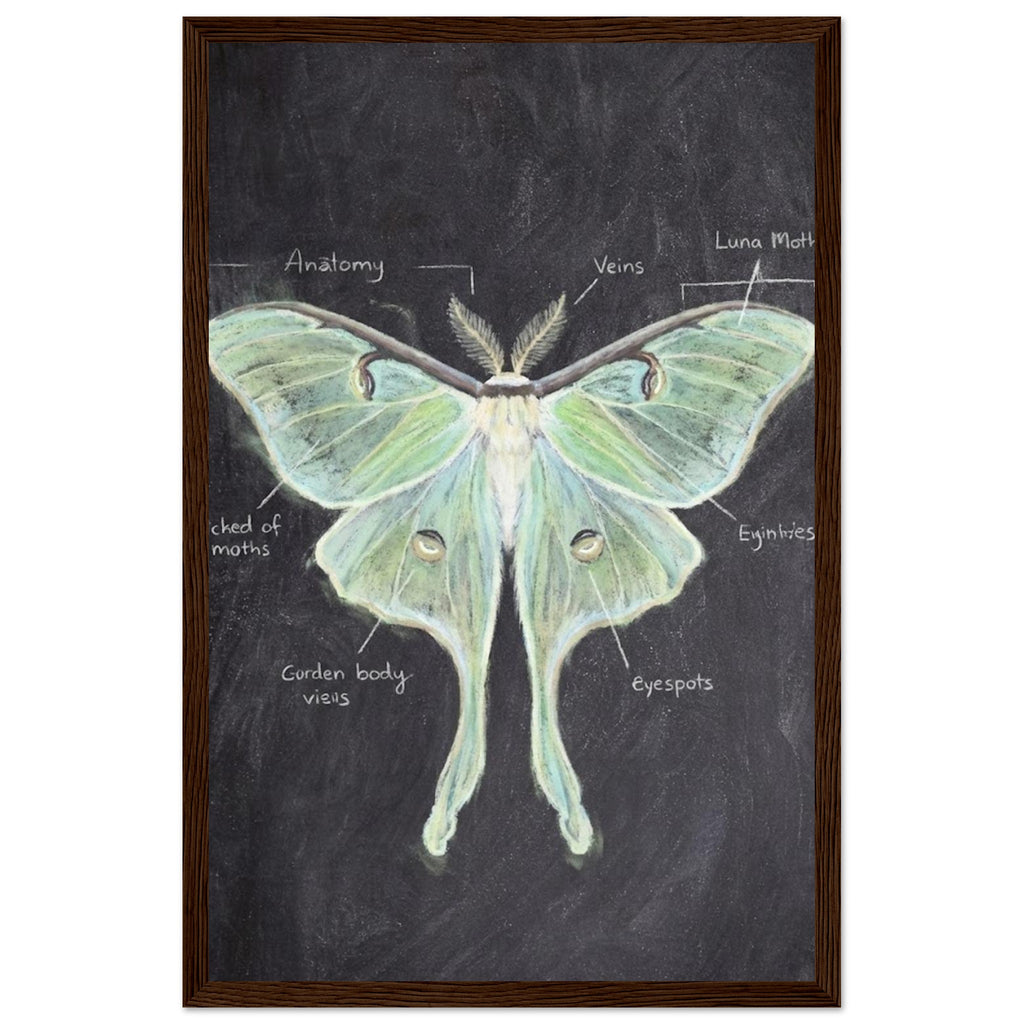 068500b5-9ead-4d99-9dda-cef379ea4692