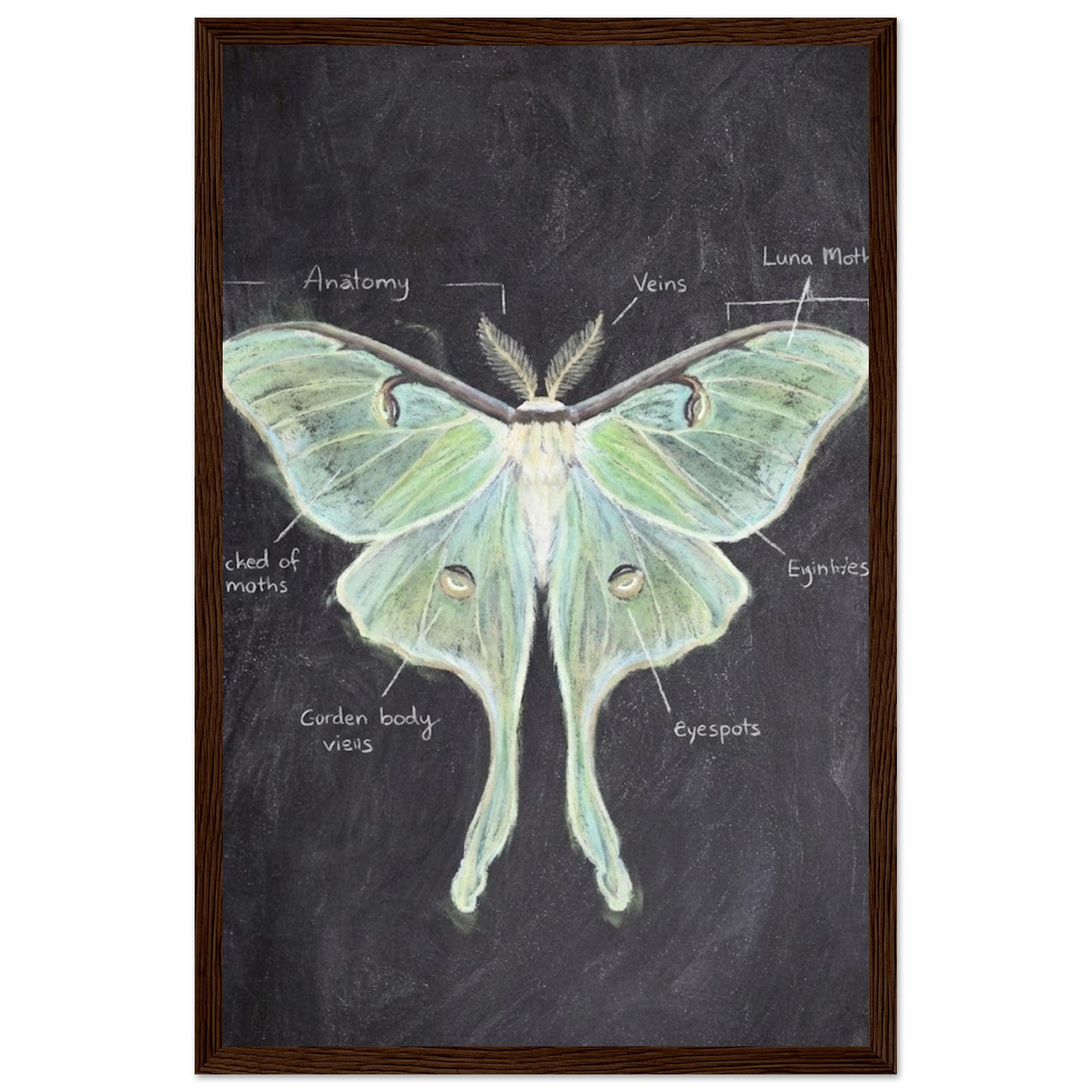 068500b5-9ead-4d99-9dda-cef379ea4692