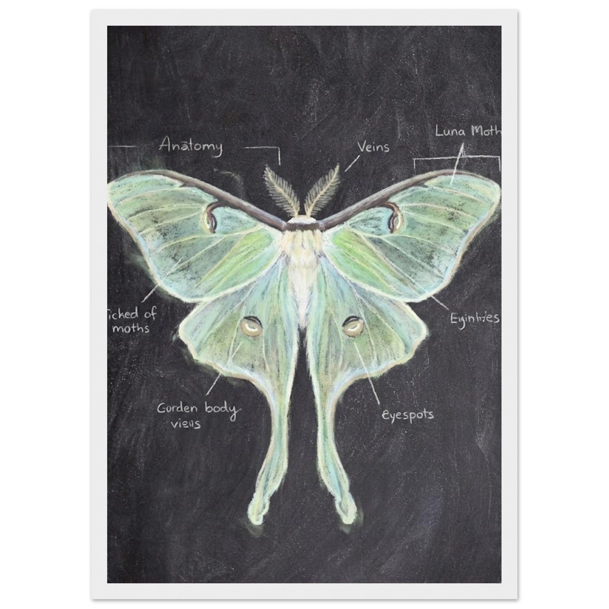 070f14f8-719d-4c3f-a4d1-383a2b01e27a