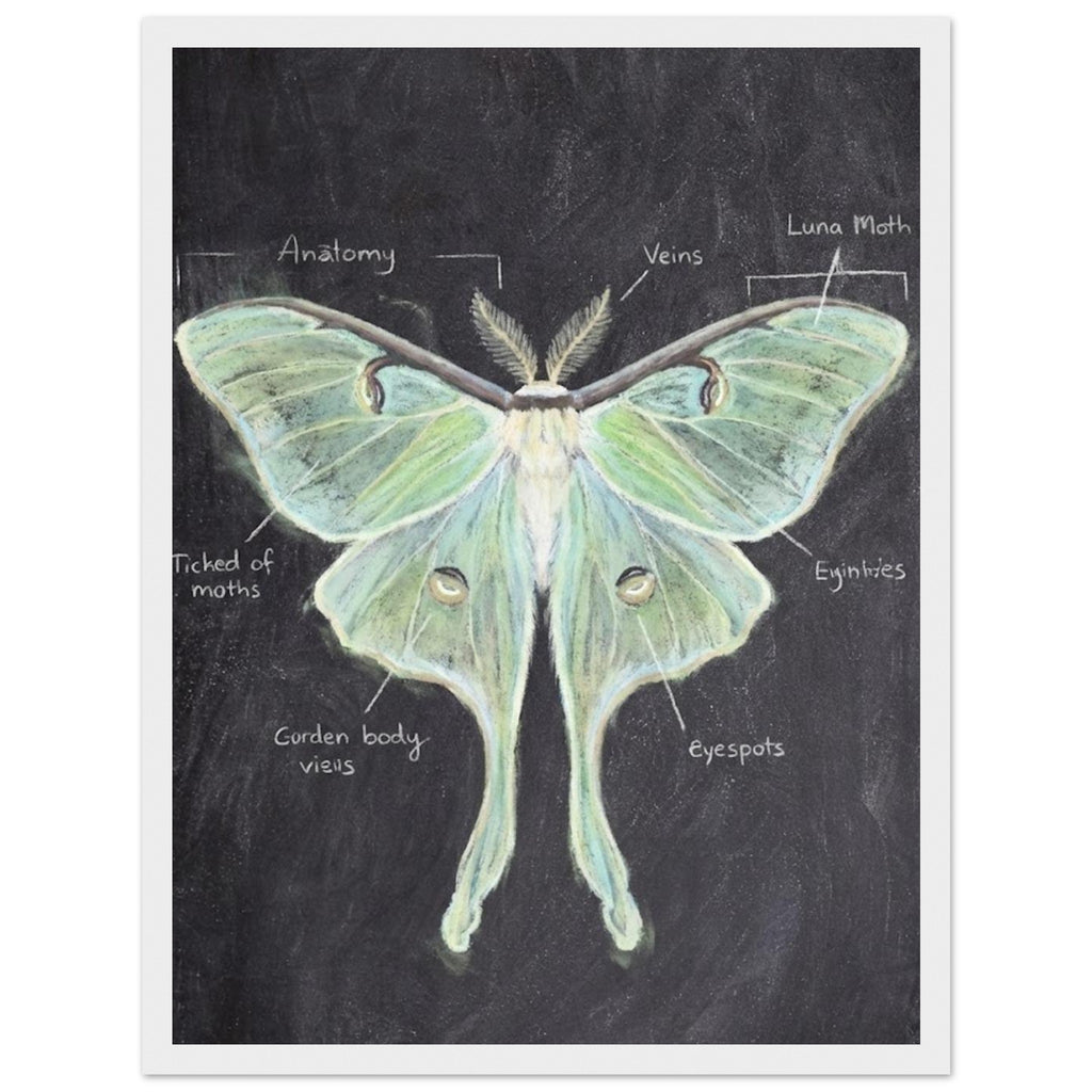 07fd5972-a110-460d-b60a-72ed2a91830a