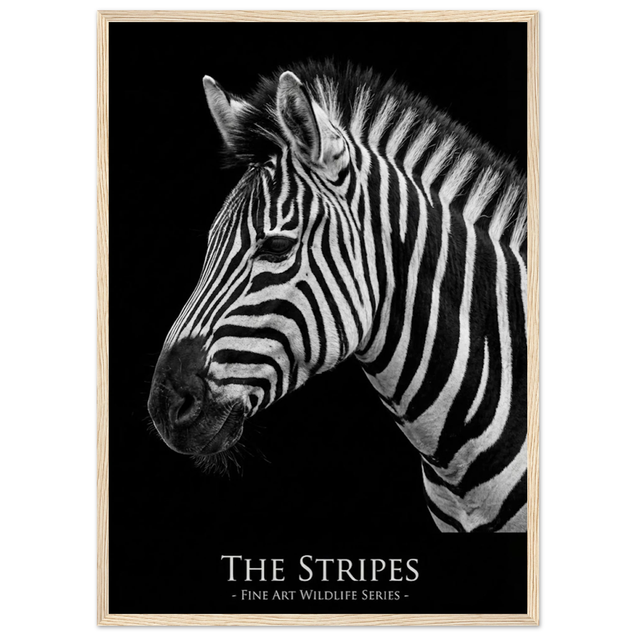 087b4c75-8b1c-401d-bdca-f69b75167f51