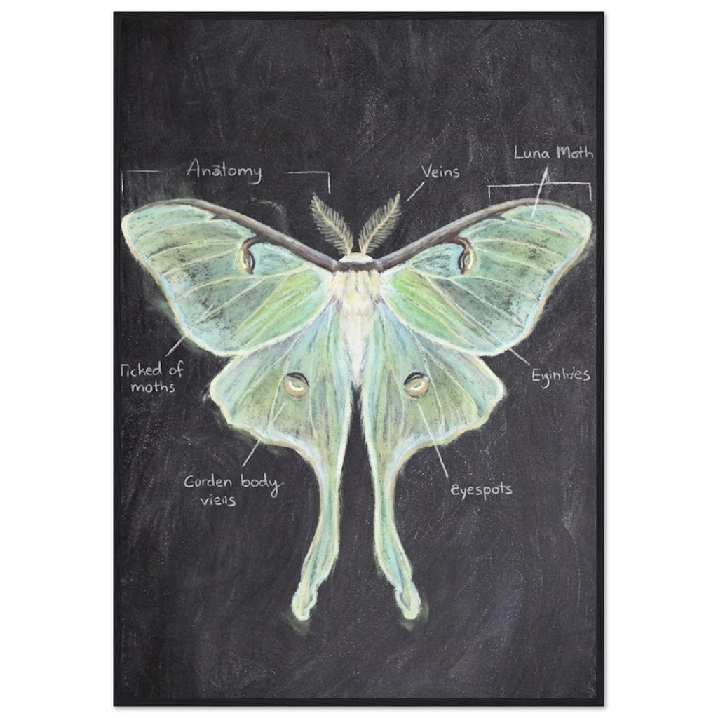 08bd7c3c-acb8-4b13-8b44-9587fcd719ba