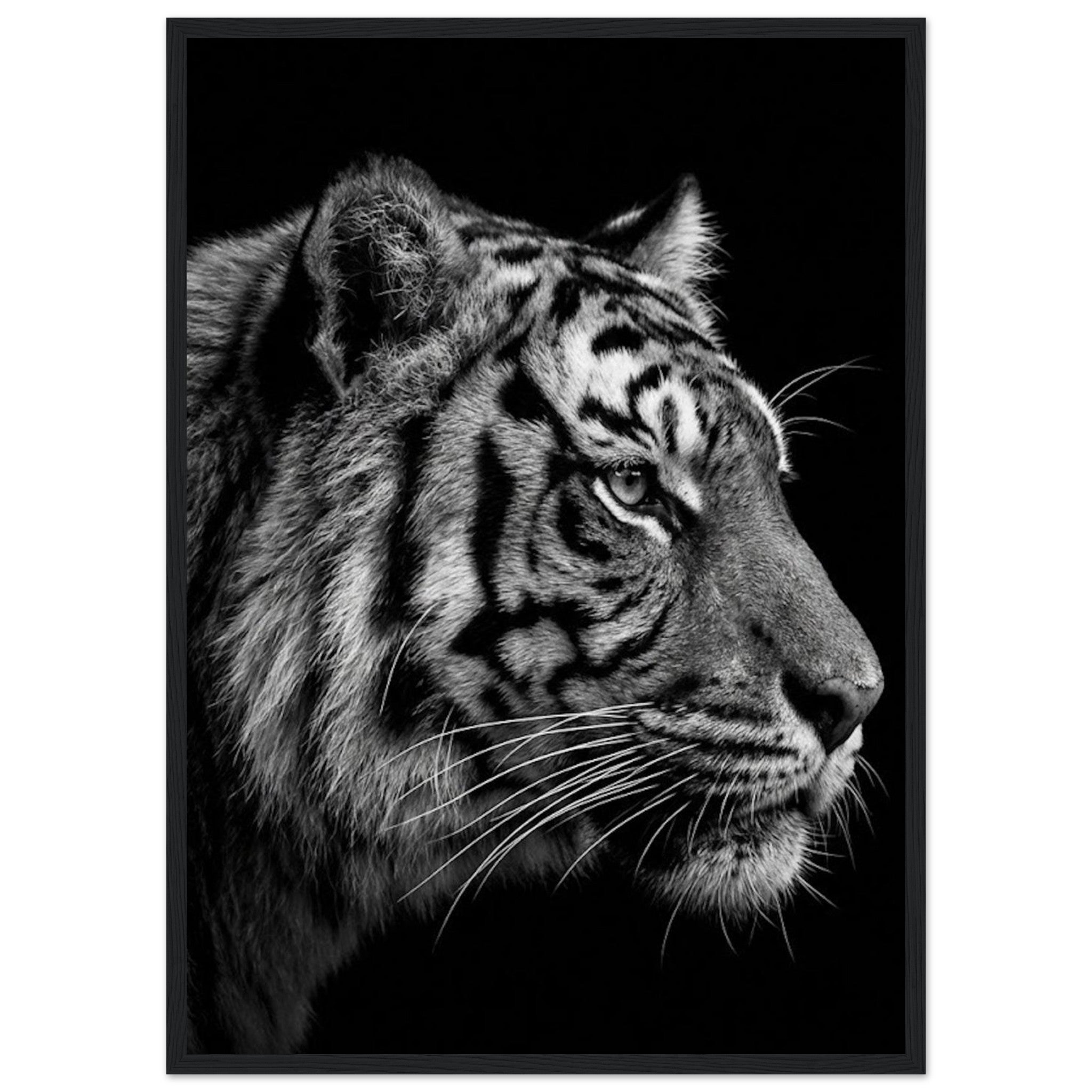 09428814-58bd-4093-a403-582aa44483b8