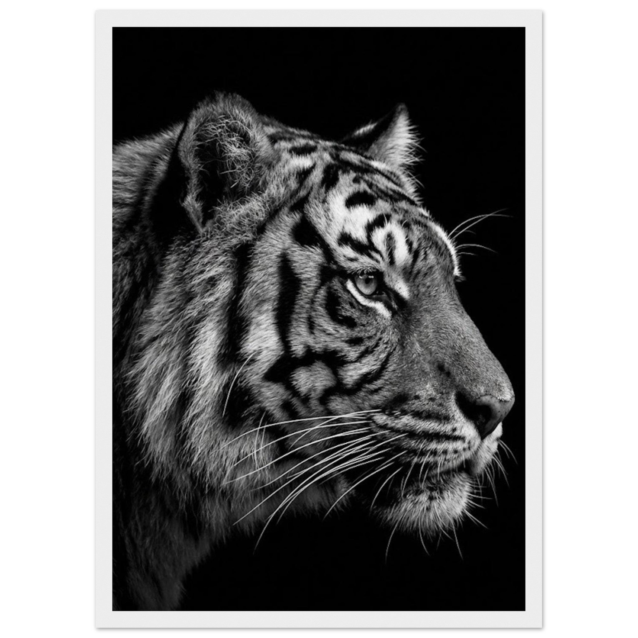 0dd208ee-c60e-426f-bc28-7b8ac83bd537