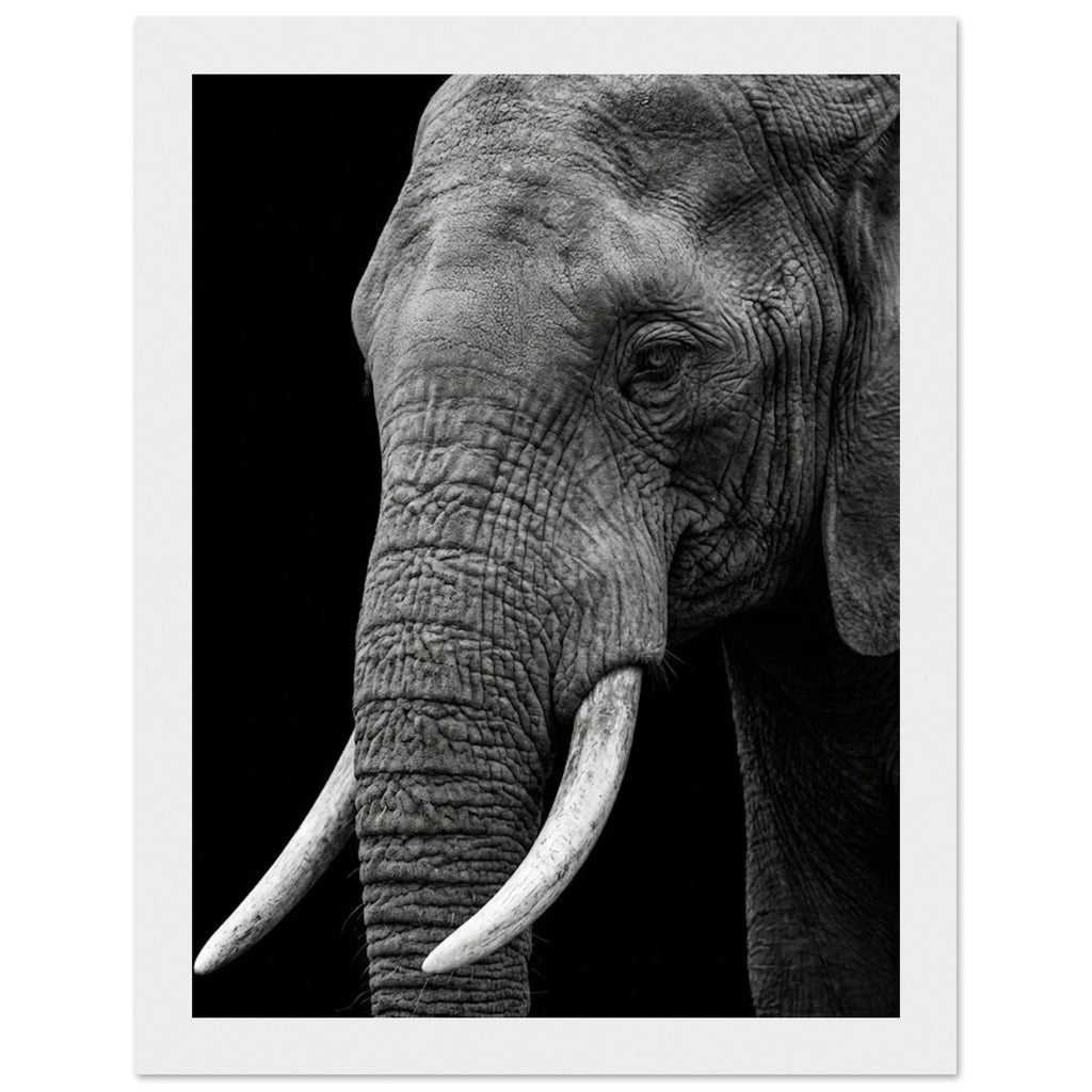 0fac85cf-4770-40db-a13e-7caa6446c367