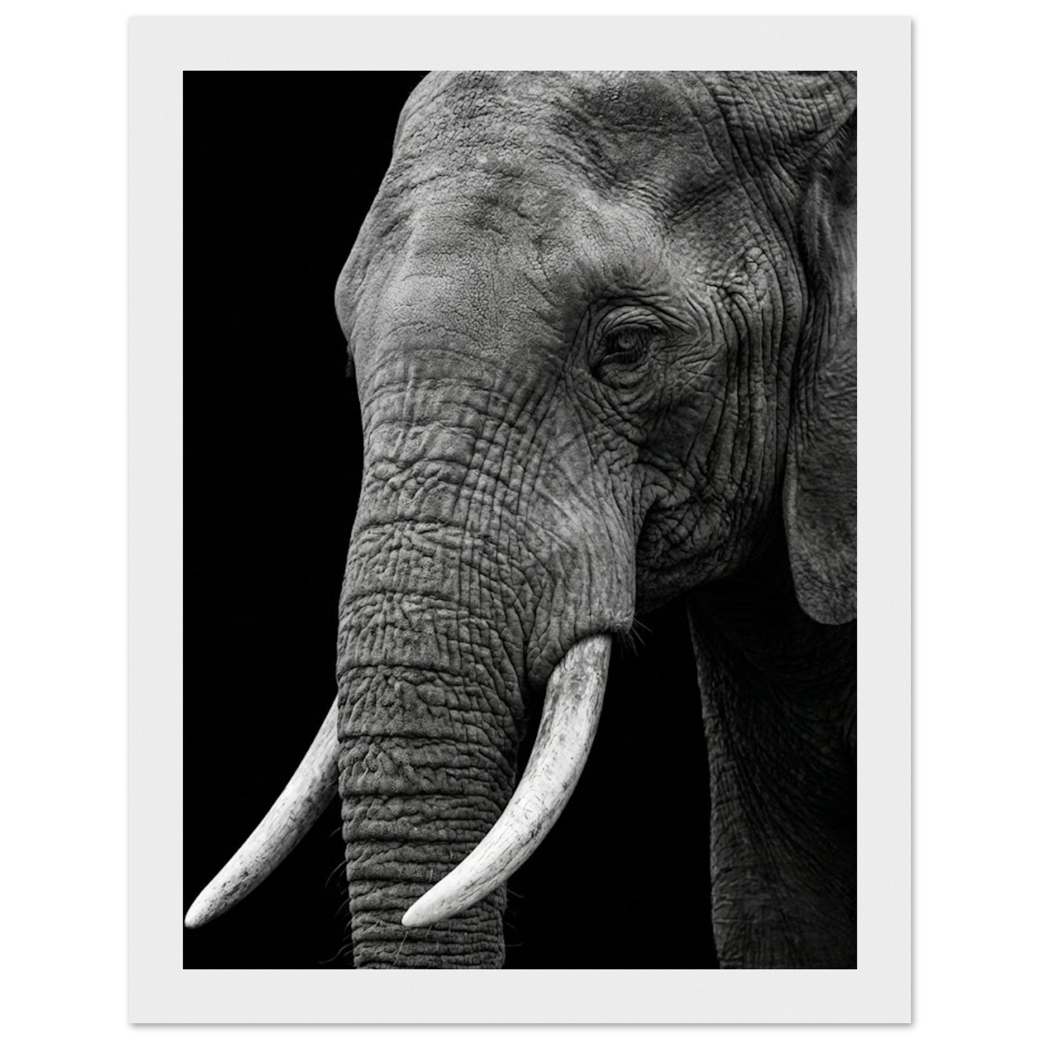 0fac85cf-4770-40db-a13e-7caa6446c367