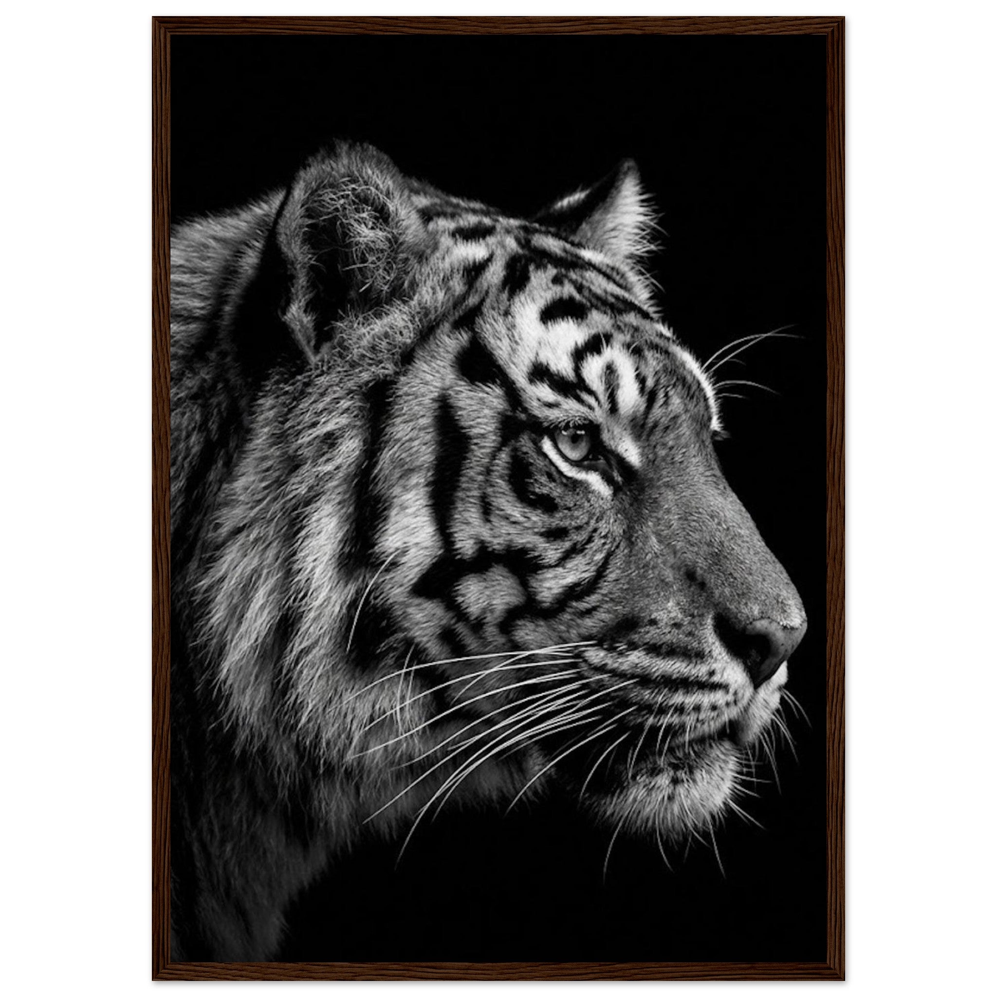 0fc2cccf-81dd-497f-bf6e-046cc8adf6ce