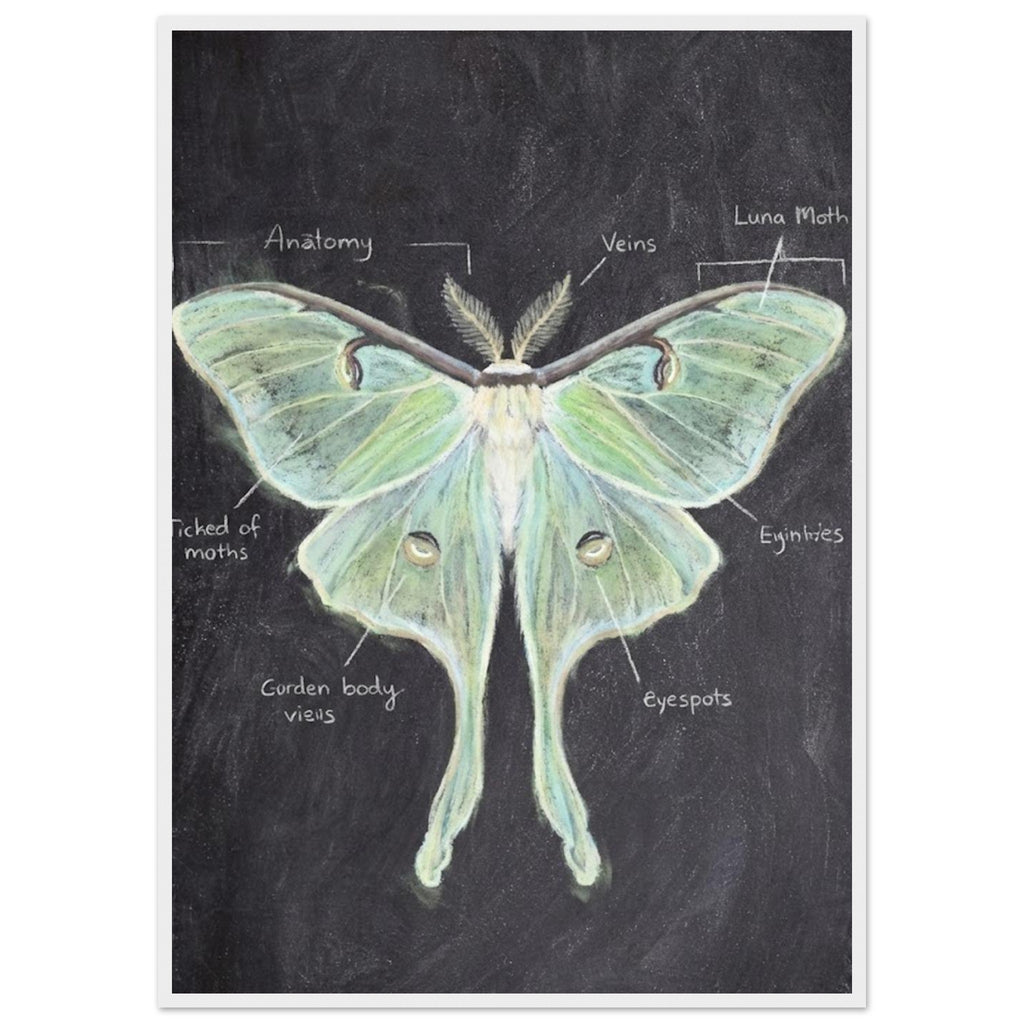 0fcbdb67-397f-48a2-a7f2-7fad0c6c0fe6