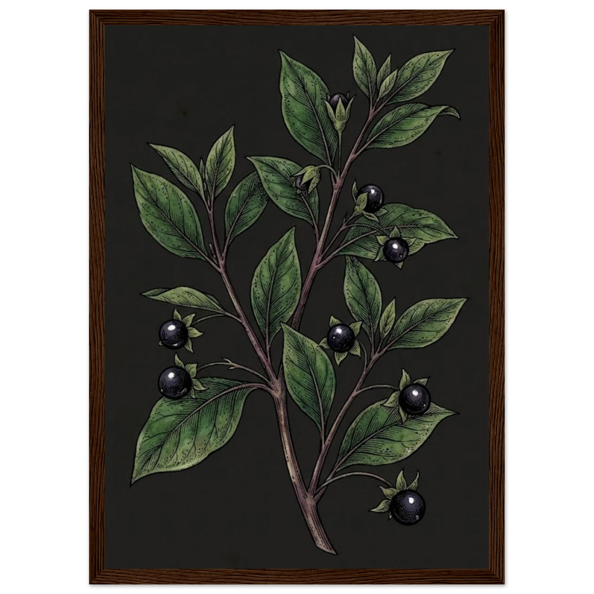 0fd98aef-7226-41d6-8799-dd561040aae3