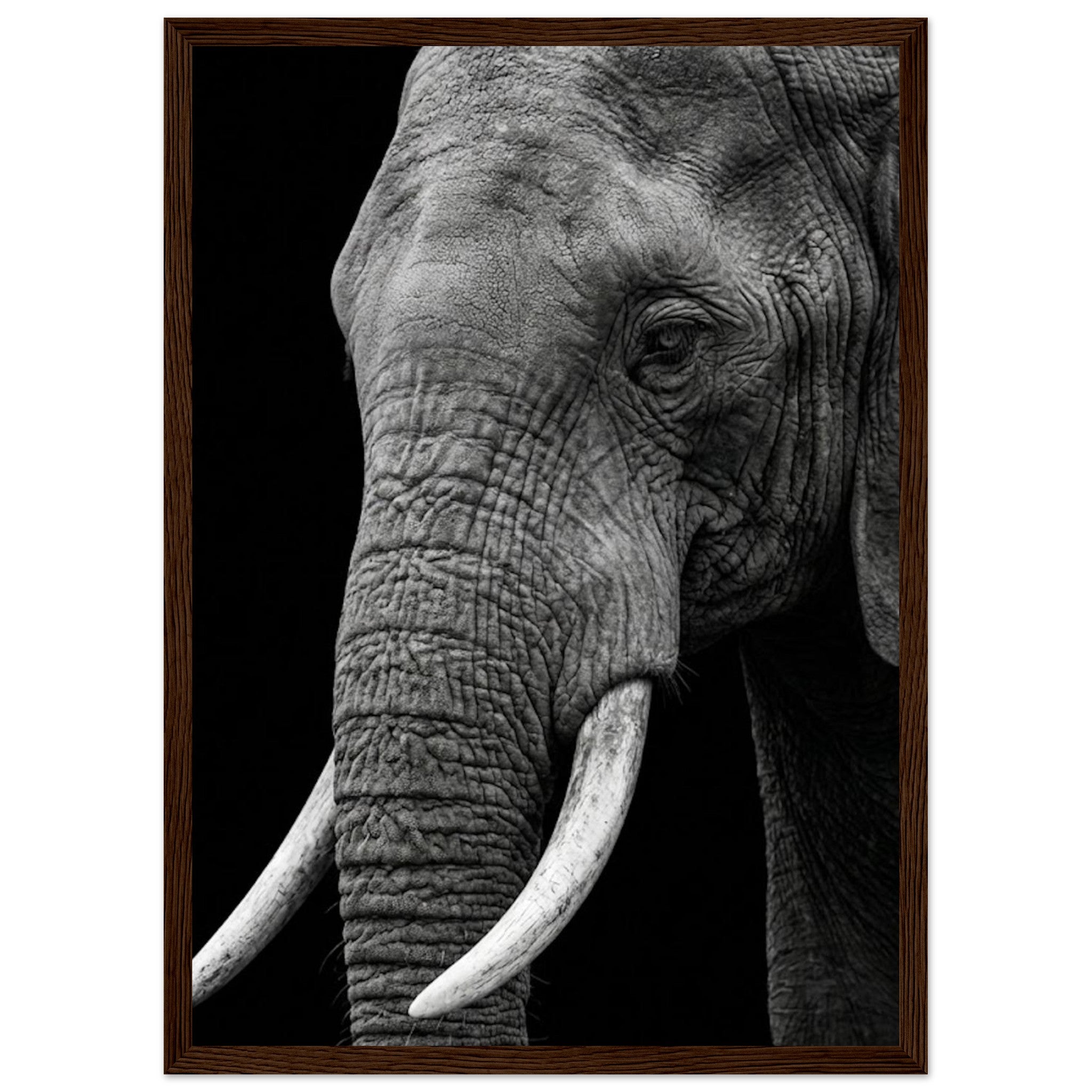 11064522-88bd-4987-84c0-b6babc042996