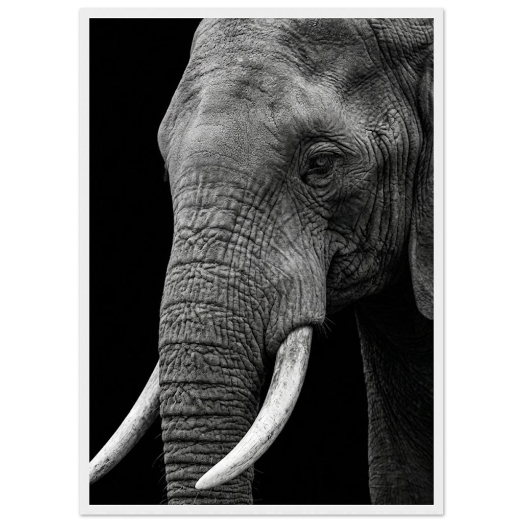 11c989b1-c764-4b41-9b6c-1bd4be32ecc5