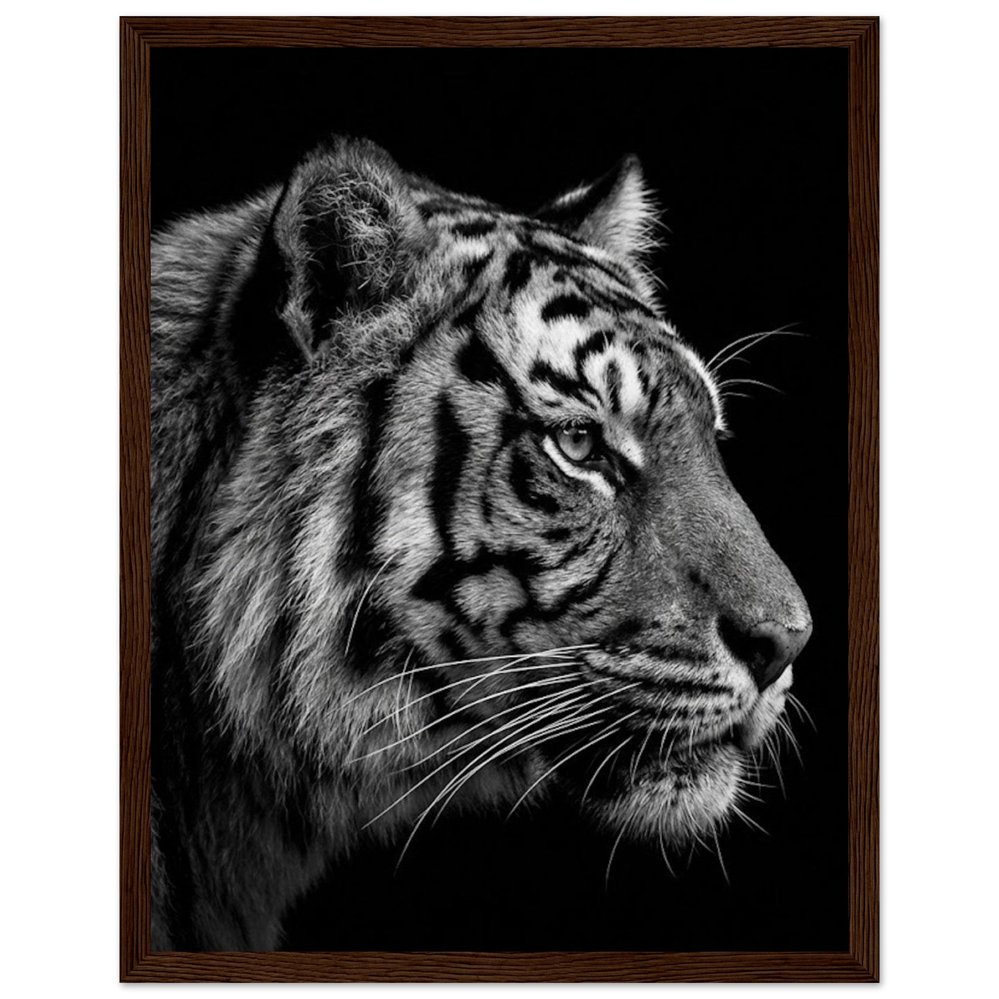 12c3afe7-6983-46f3-964b-3b8fc69cb487