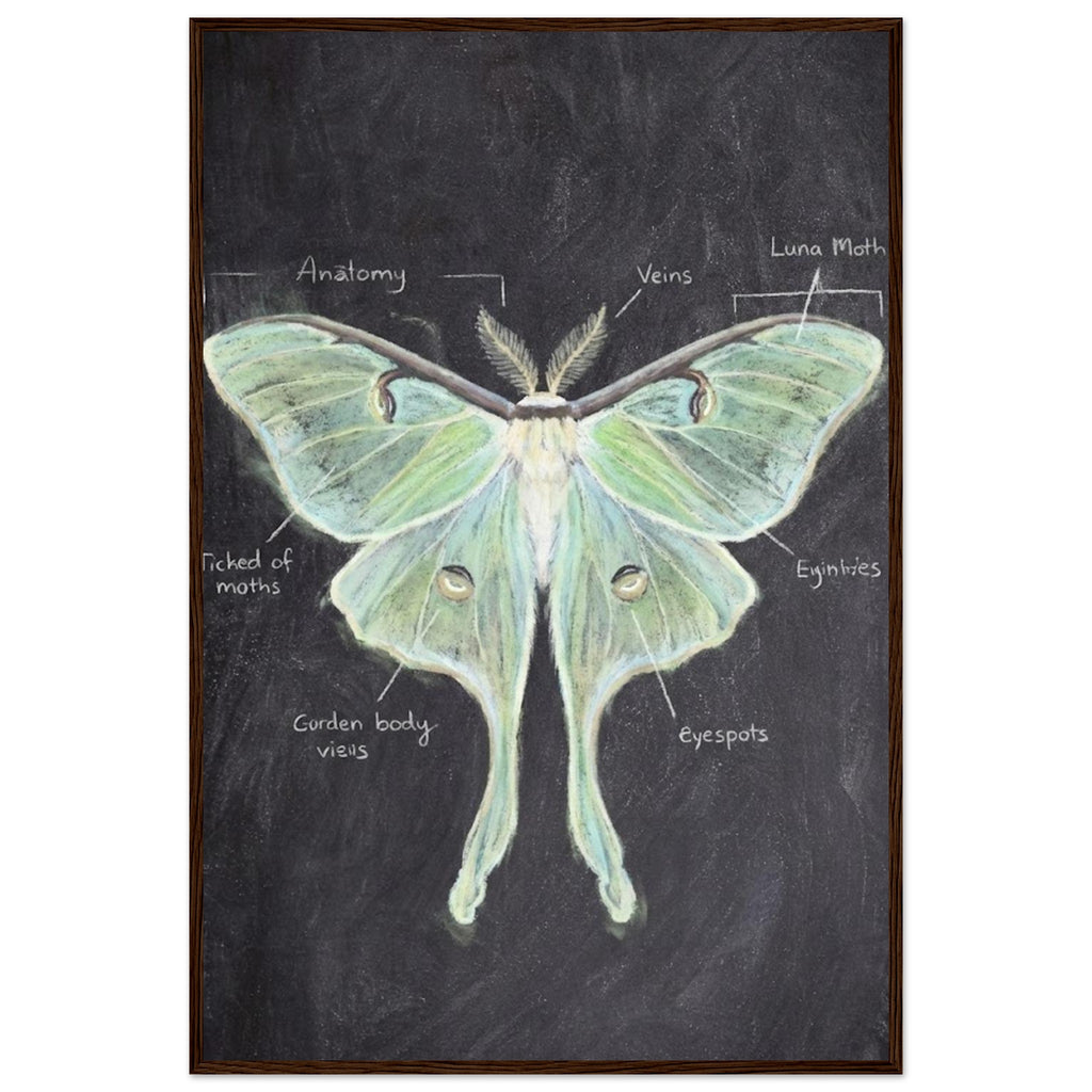 1427fef0-a485-4d8e-bb17-27968b232524