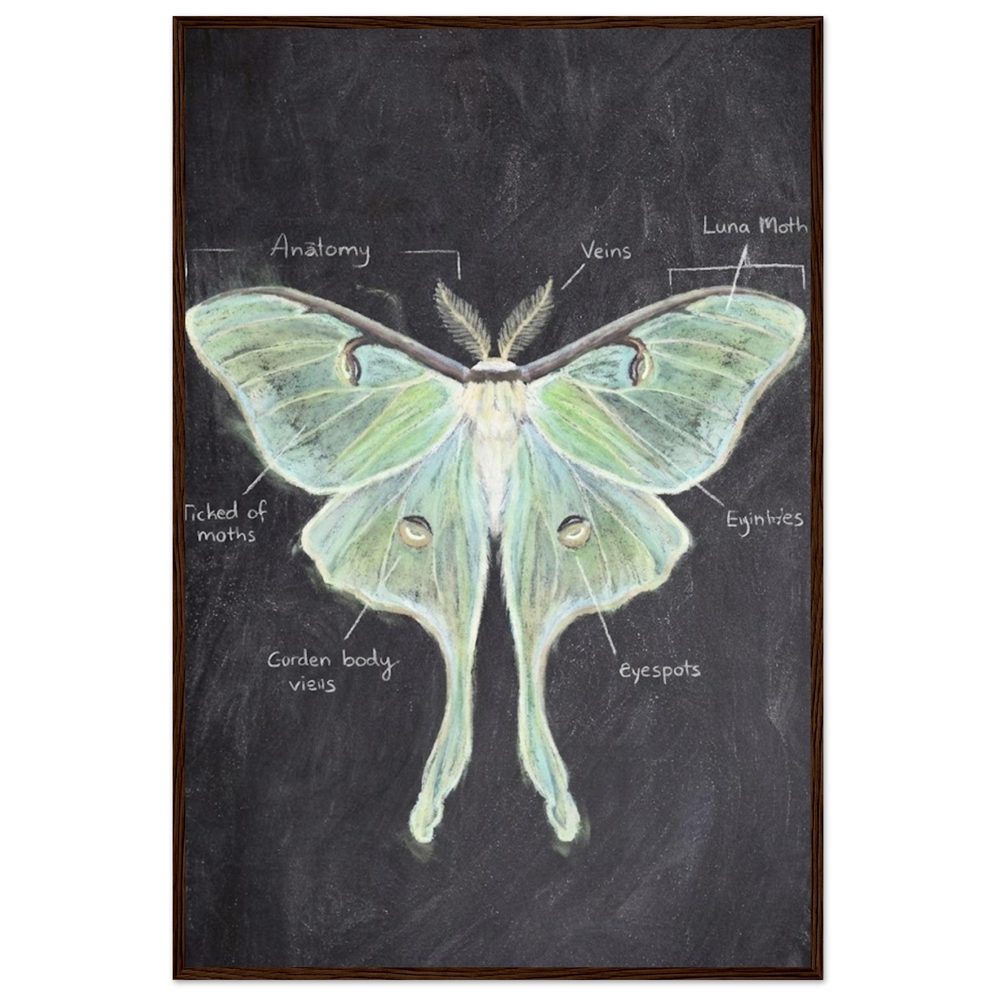 1427fef0-a485-4d8e-bb17-27968b232524