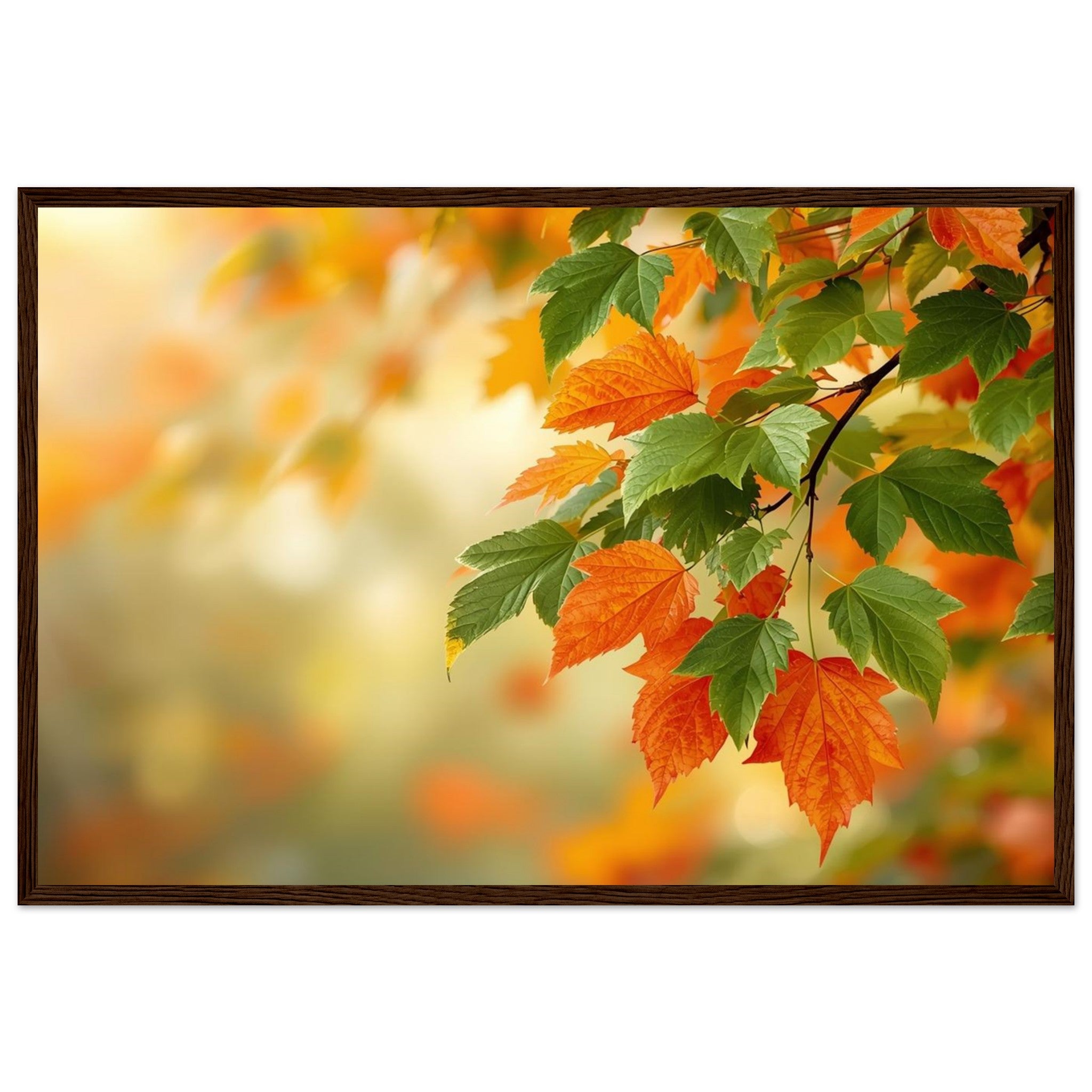 147dff39-da21-4998-9e64-586d3b2001c3