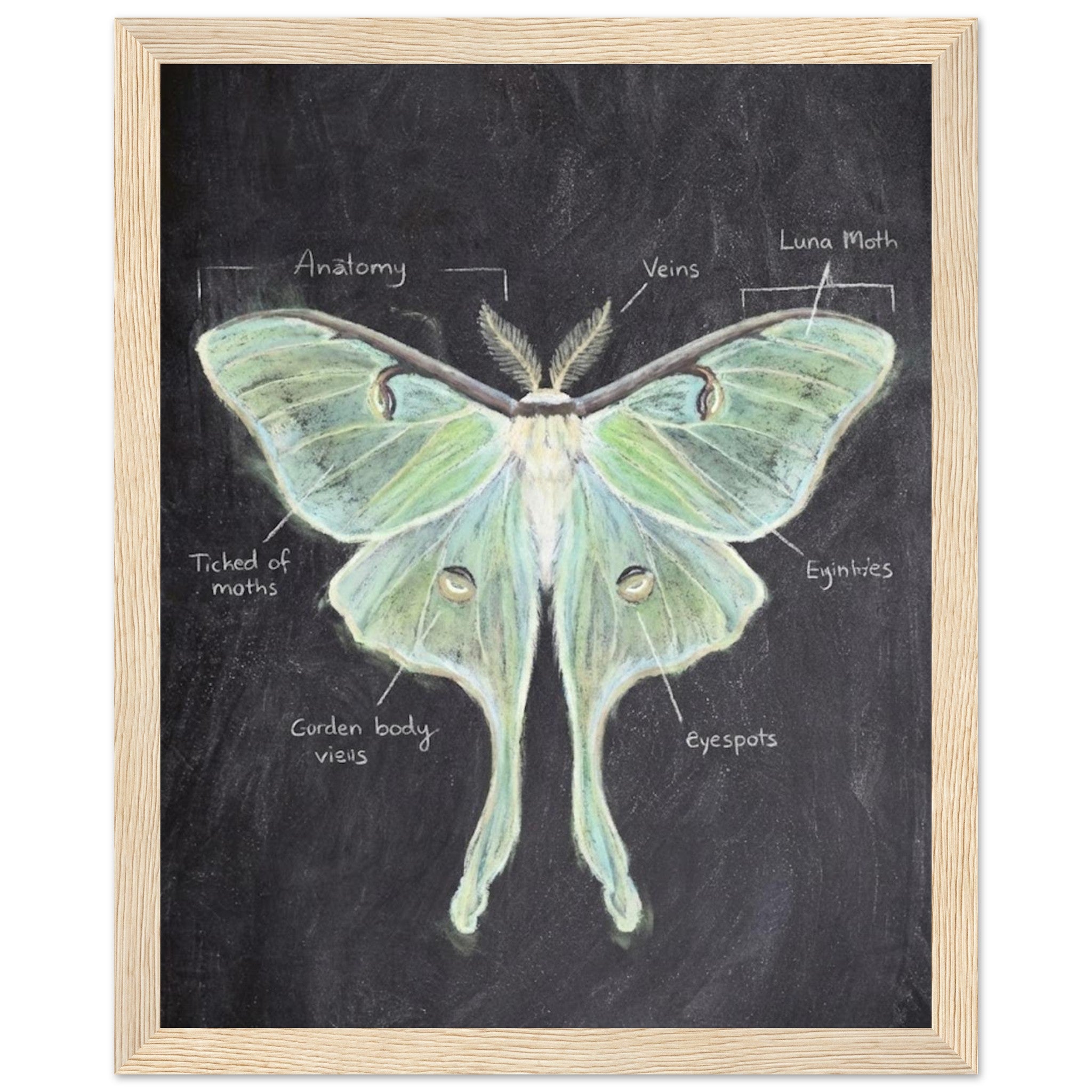 14a1be32-a062-4aac-9a7d-8ae8dd3844ab