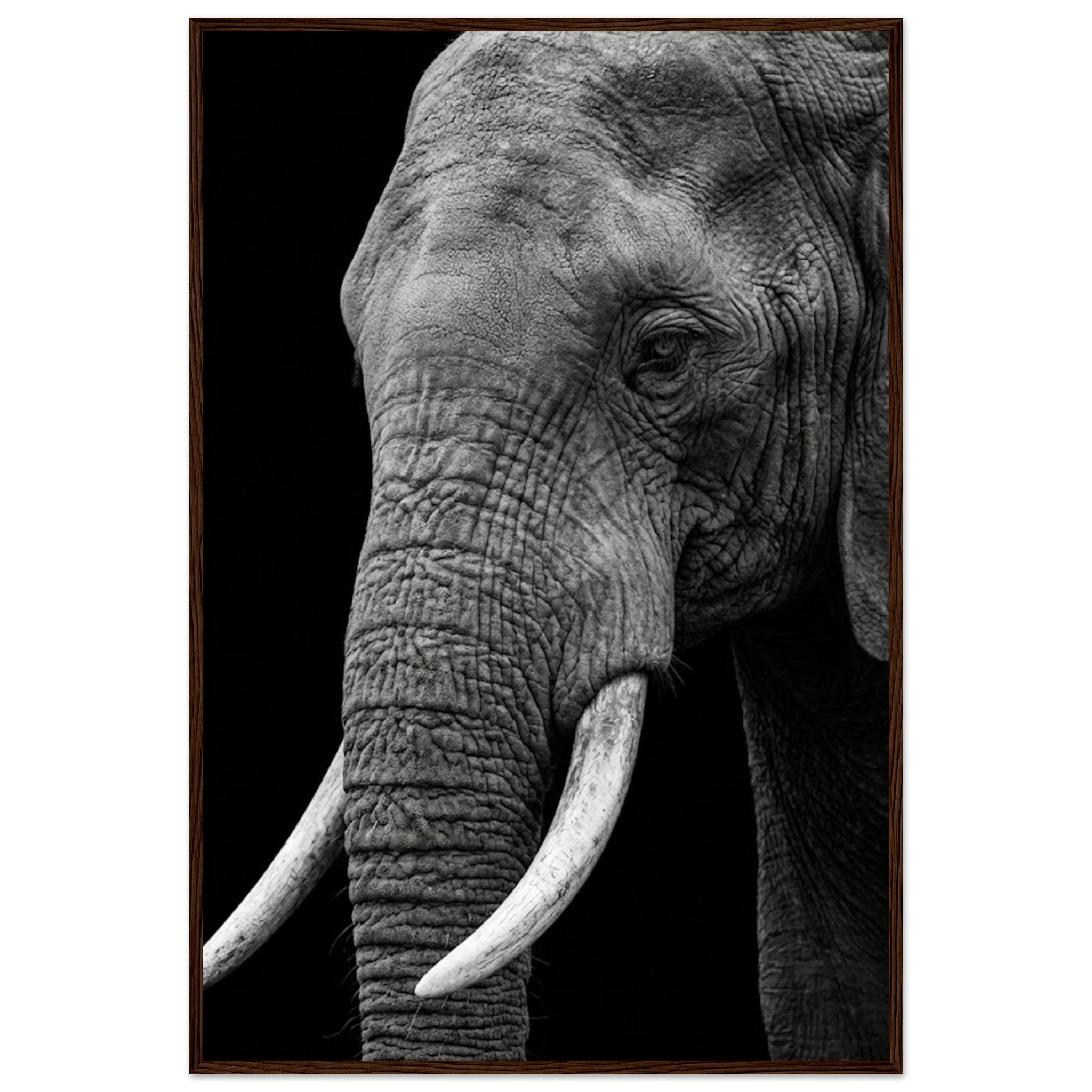 15c9e8f7-27ce-42d5-a279-5c439afc91ef