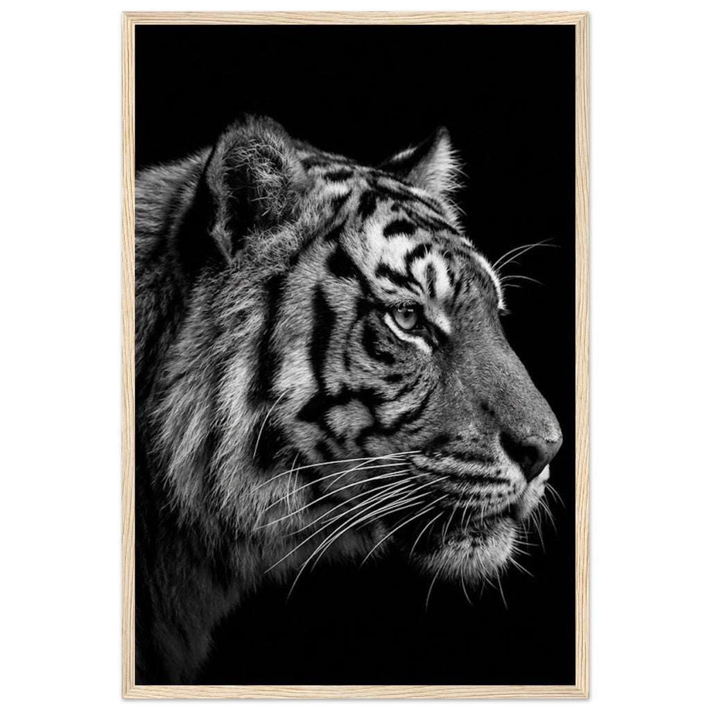 18227784-02c8-45d9-a259-02a69677d9db