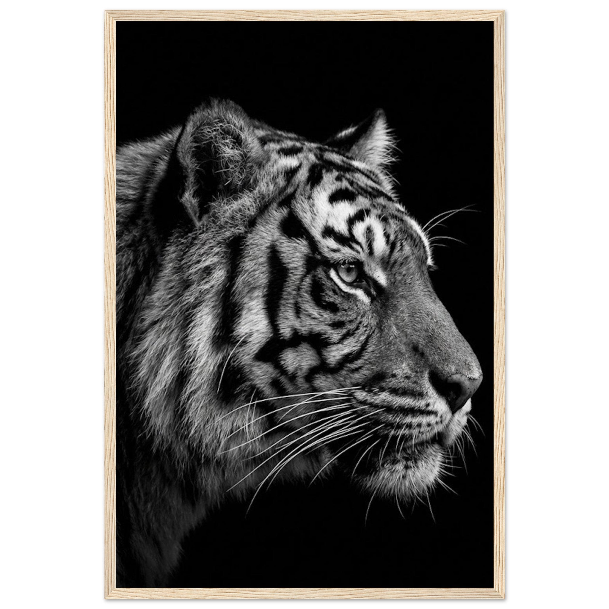 18227784-02c8-45d9-a259-02a69677d9db