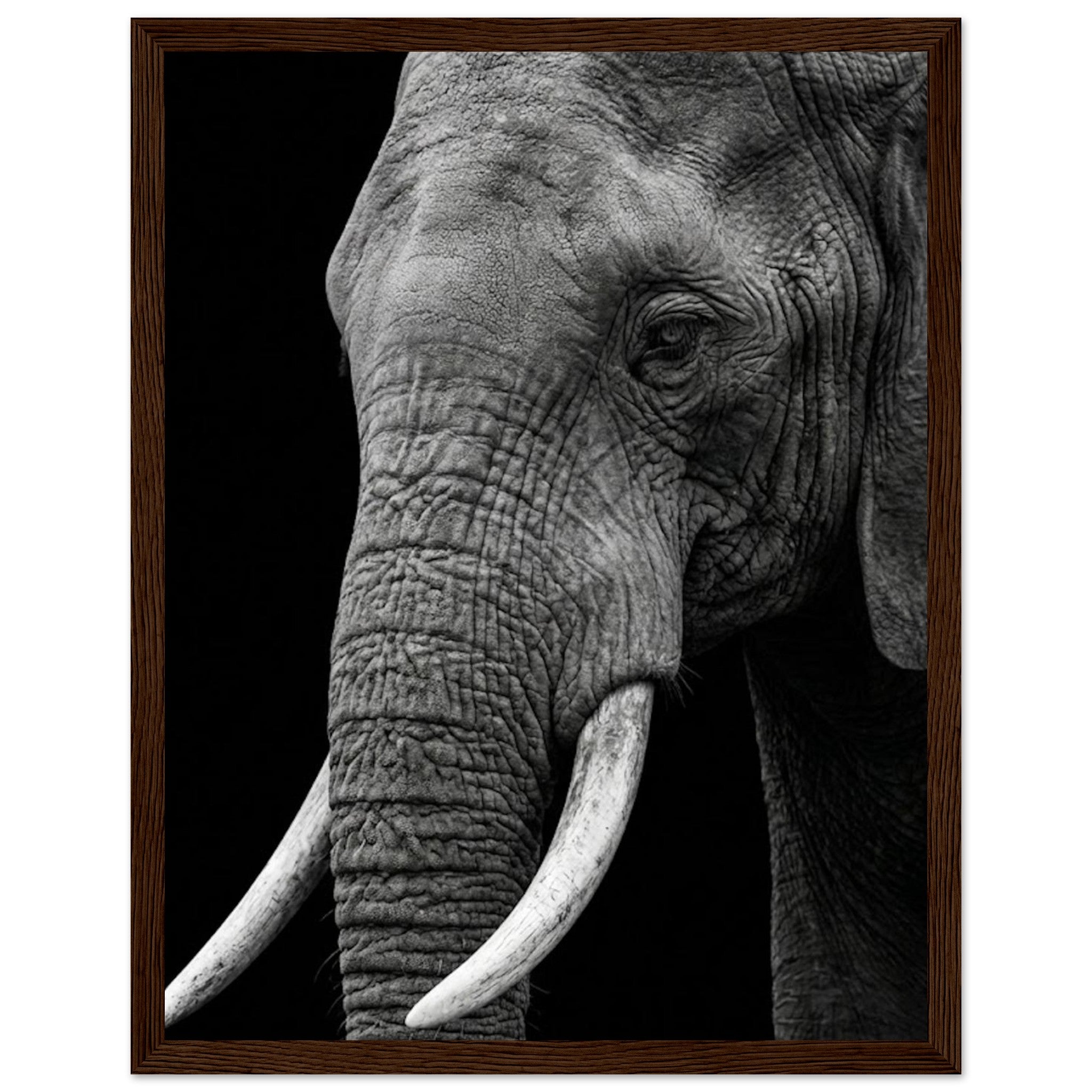 18da5bf2-4ee3-4440-bf56-fea257267af5