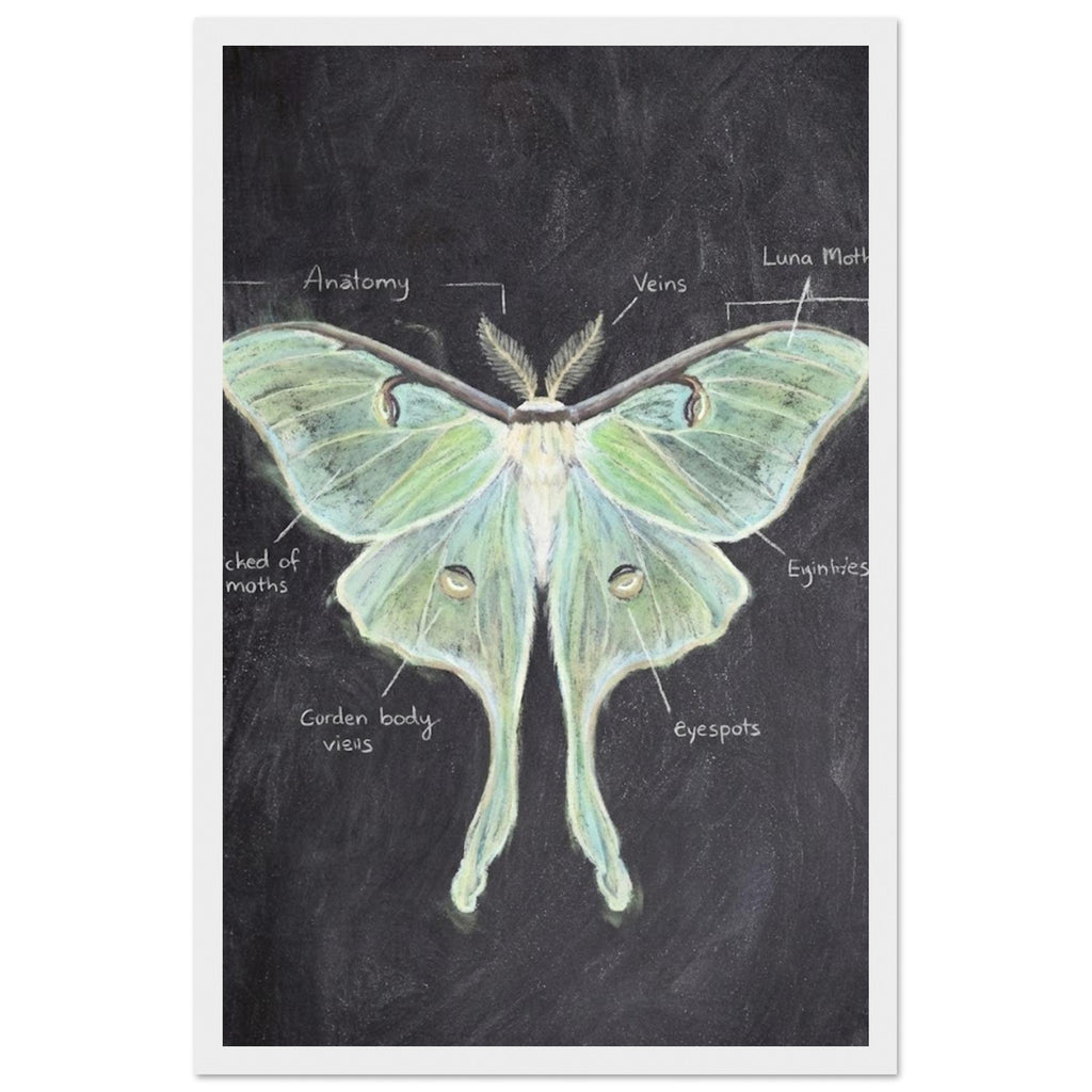 1bf05000-47dd-4747-b3c2-3fcd1230327f