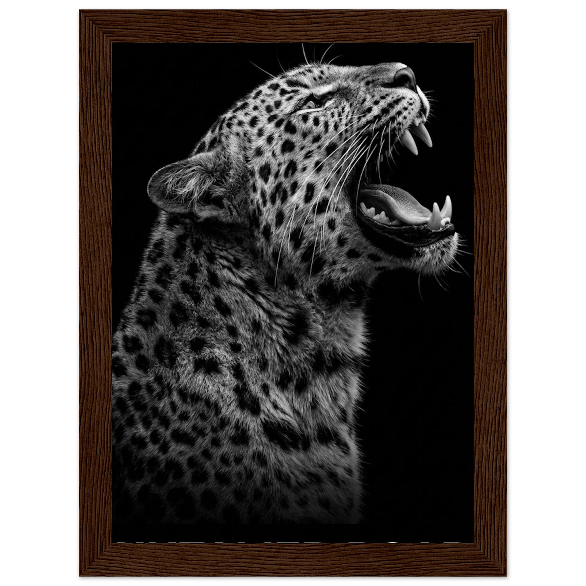 1d6bb8d1-7e5a-4640-8049-d94b9407e714