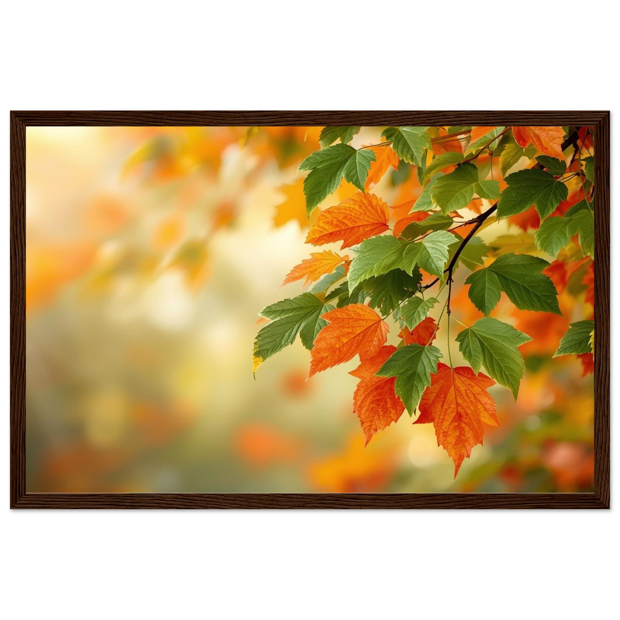 1dc60e52-0d51-4b5f-9972-4415d471129b