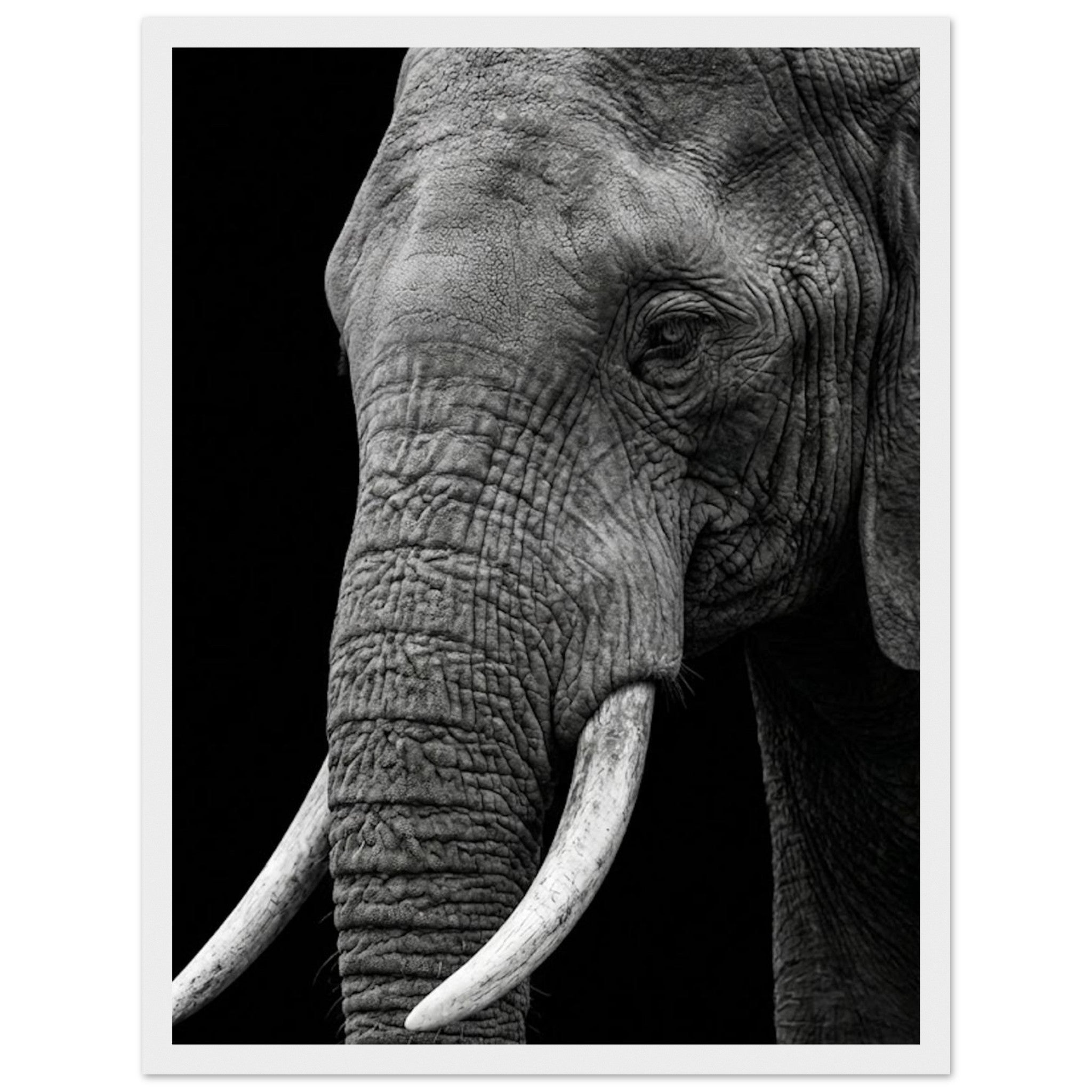 1e381d96-7ba4-40e5-8ea1-c23f030ddb35