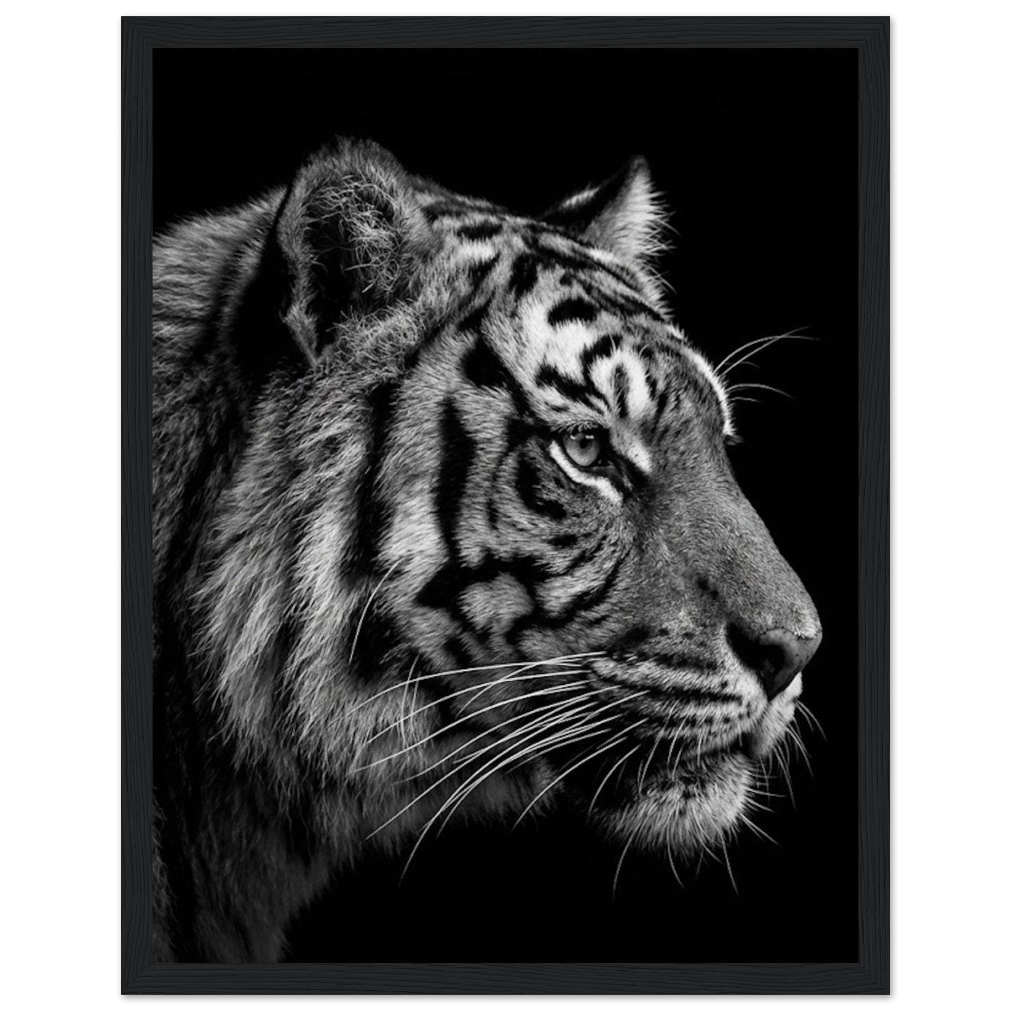 1ef54dd9-e6d7-4472-9518-0179ac0ac4ef