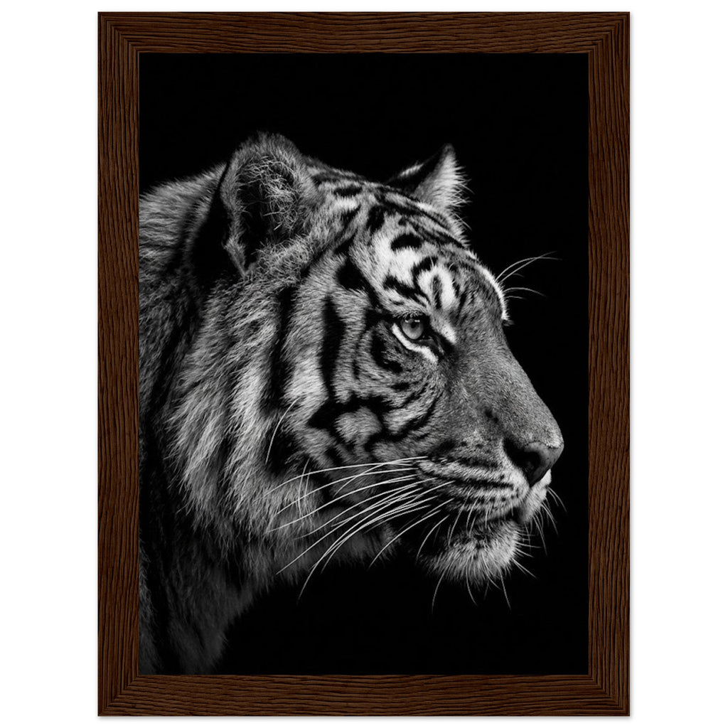 2046b608-3764-463b-bcc0-a14ff08bbbd7