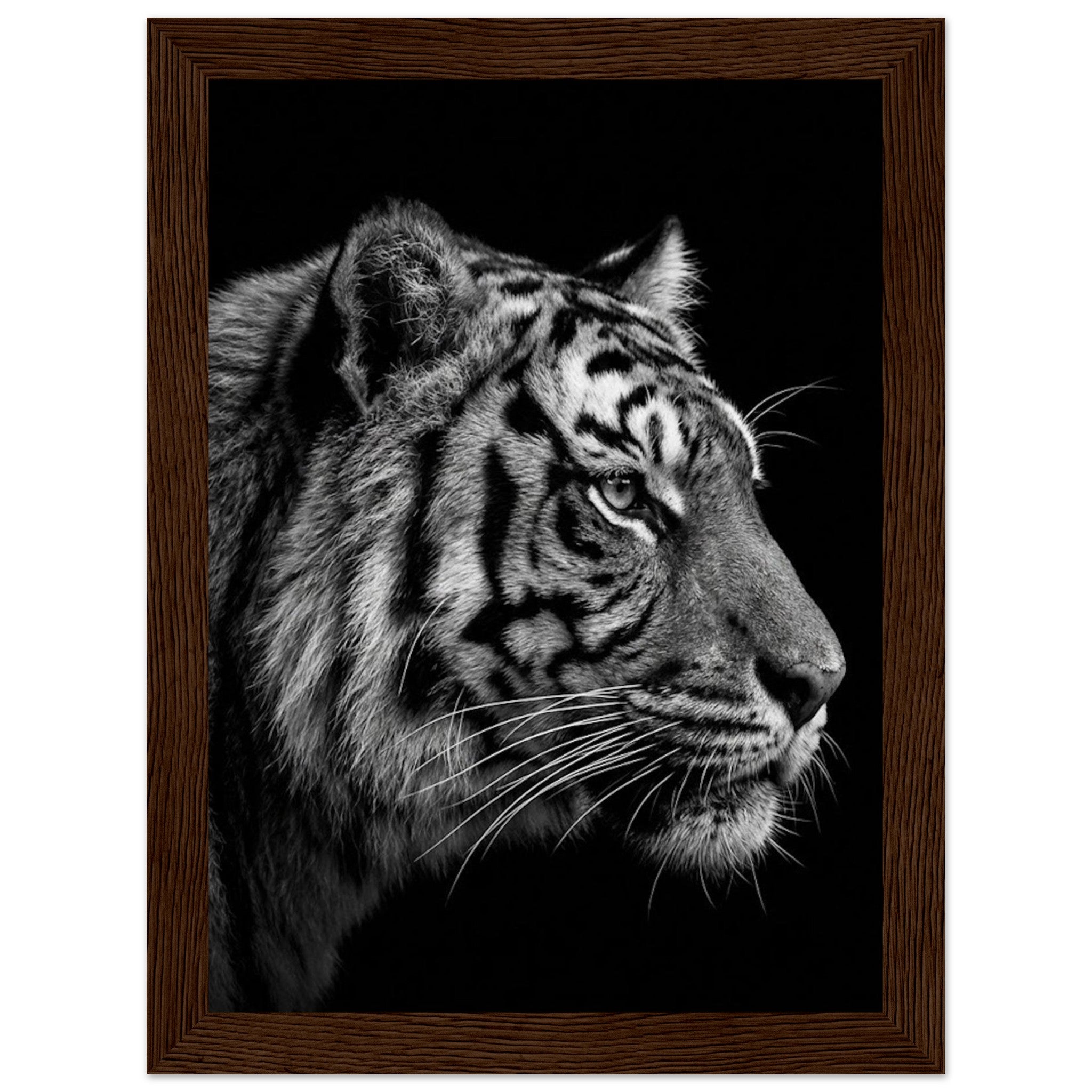 2046b608-3764-463b-bcc0-a14ff08bbbd7