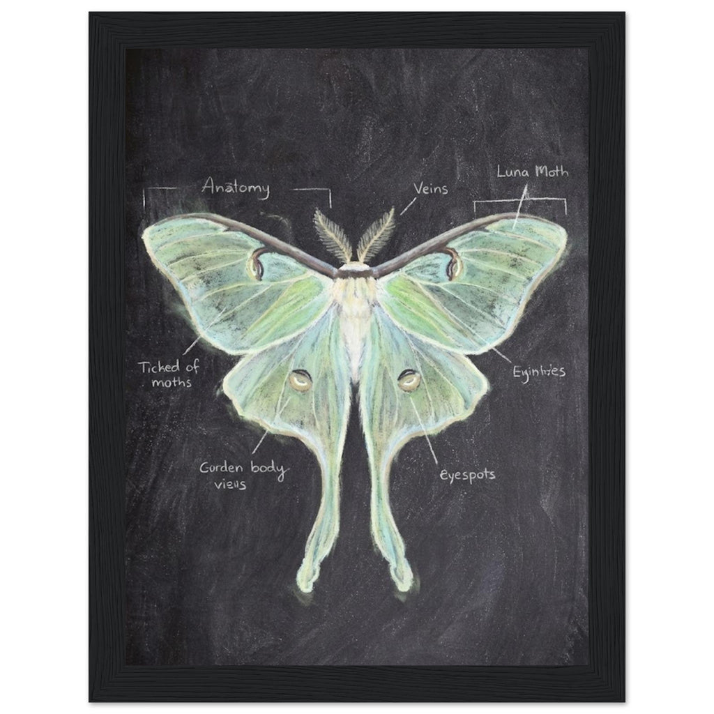 2052c23c-6345-42af-8b15-a03803fe40de