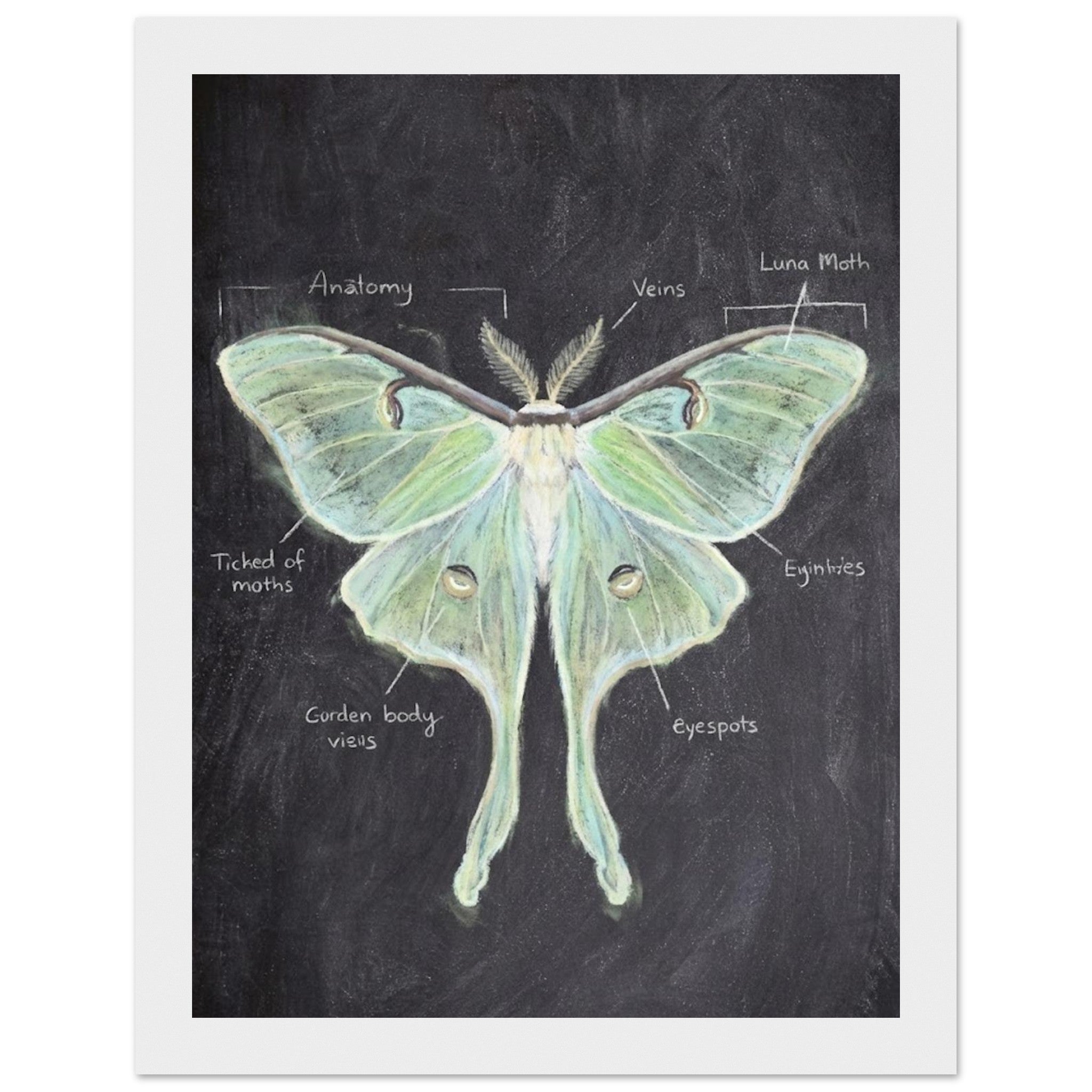 213f26b2-5b8a-4628-935f-c3637472d9d2