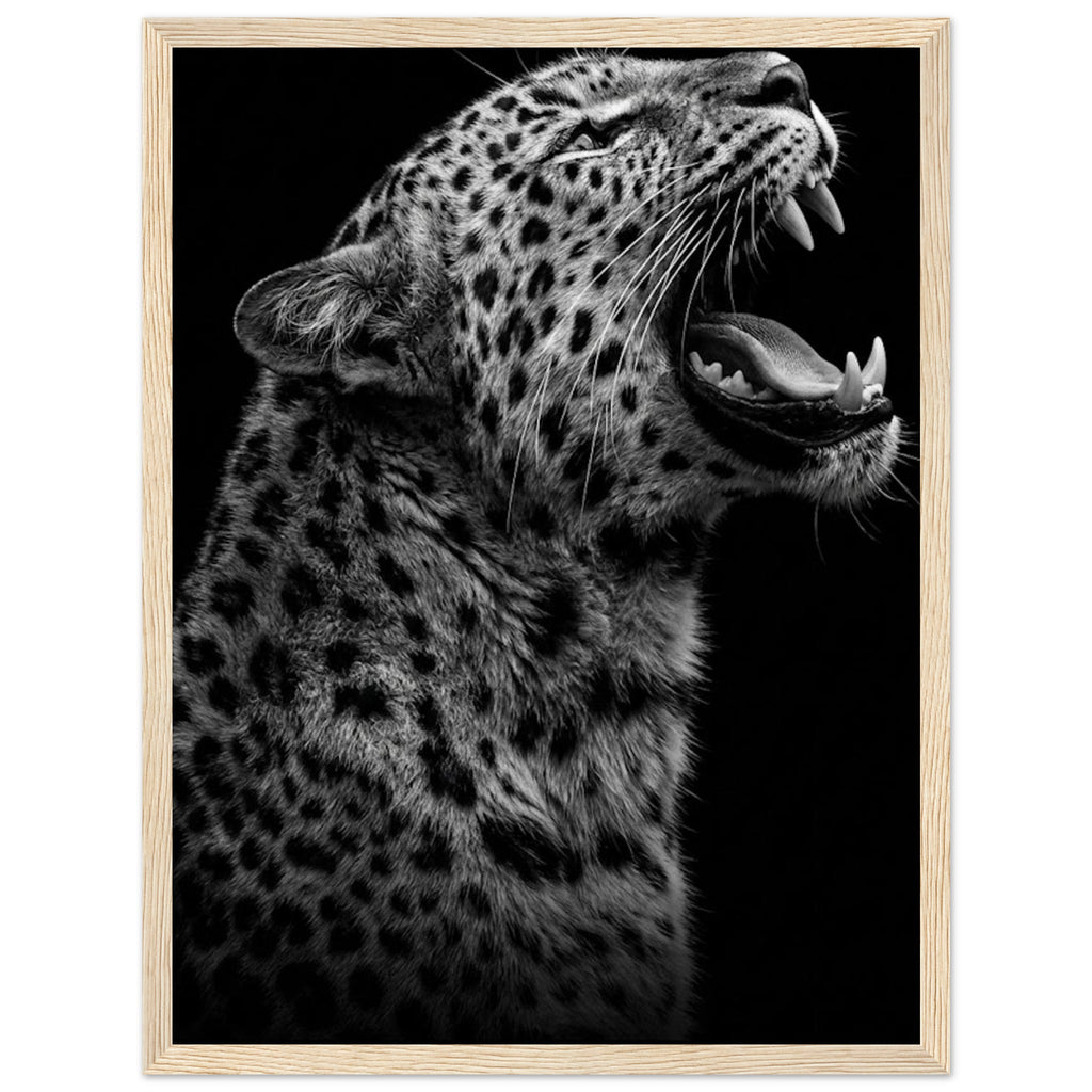 2255bf8a-4d68-48d8-b025-7e5af985a076