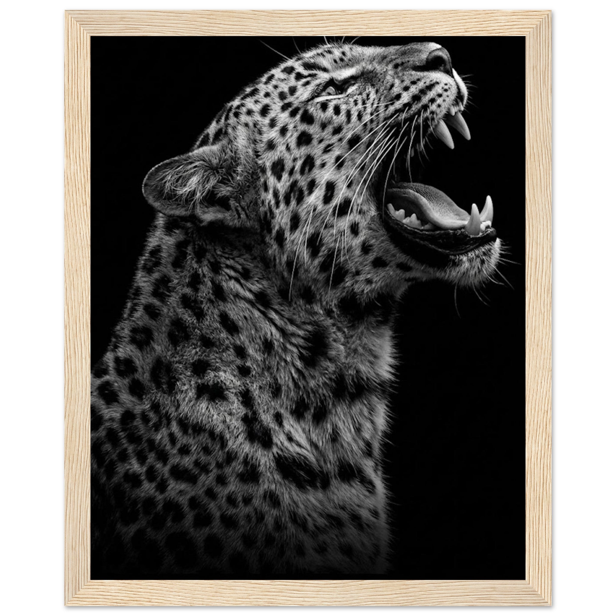 248f8770-2aeb-411d-adda-5069b07c1e46