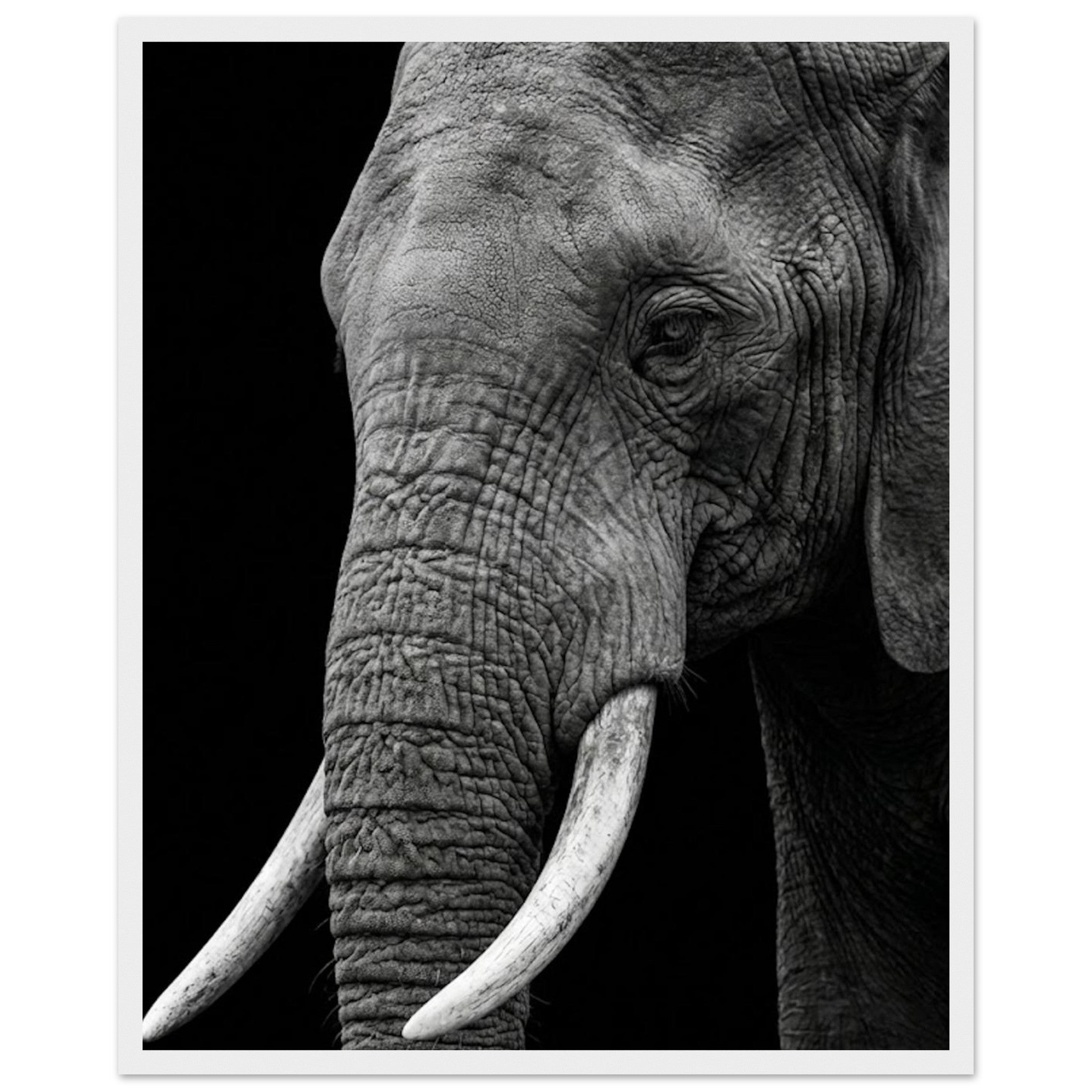 252cbc71-2ba7-4e74-9a1b-489bcae50b54