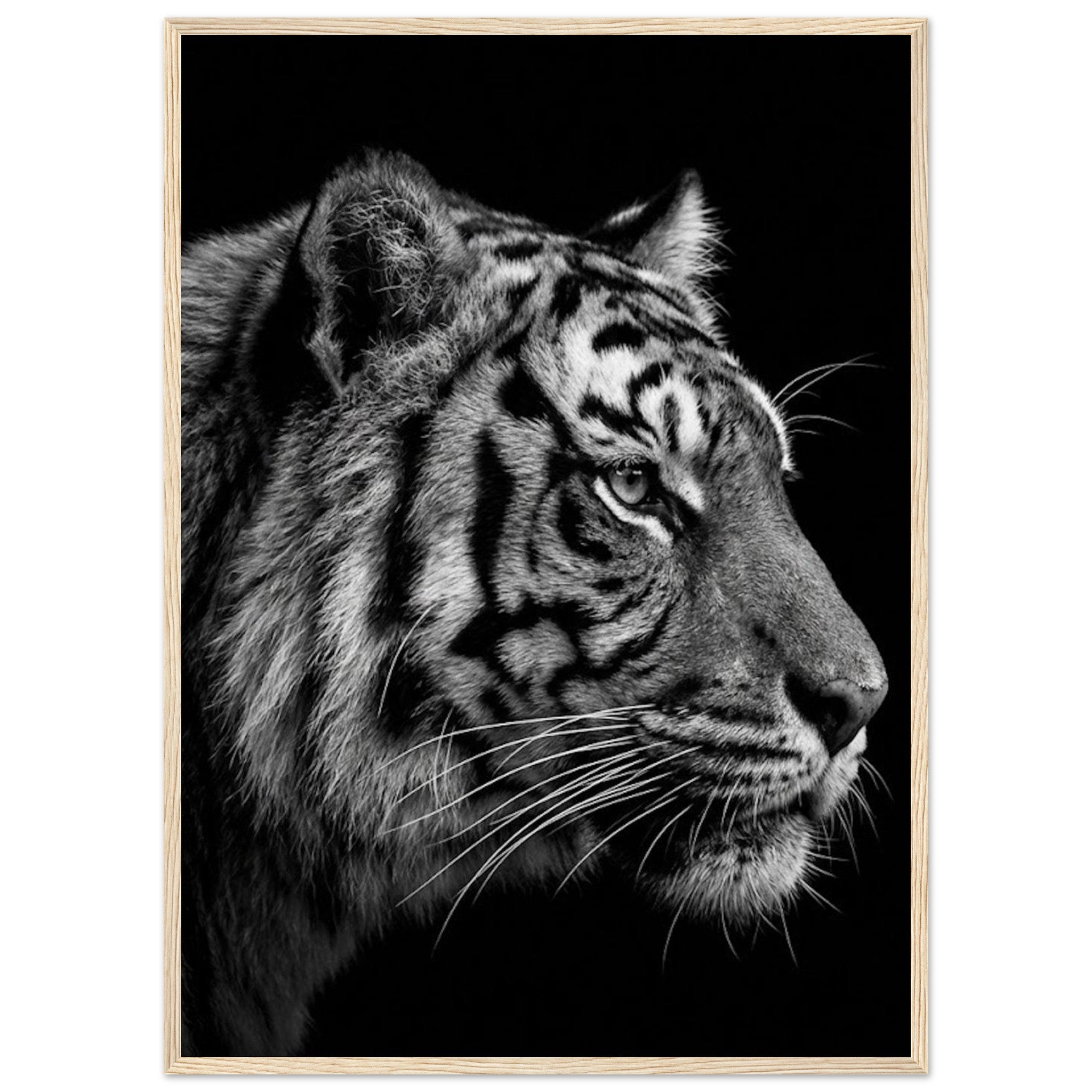 2603a407-1484-456c-a4f9-8d4efe6f4b5a