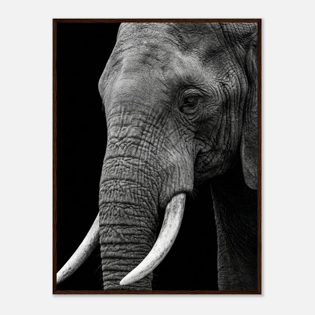 2776e1e4-2068-4125-a944-789b3a6d4b12