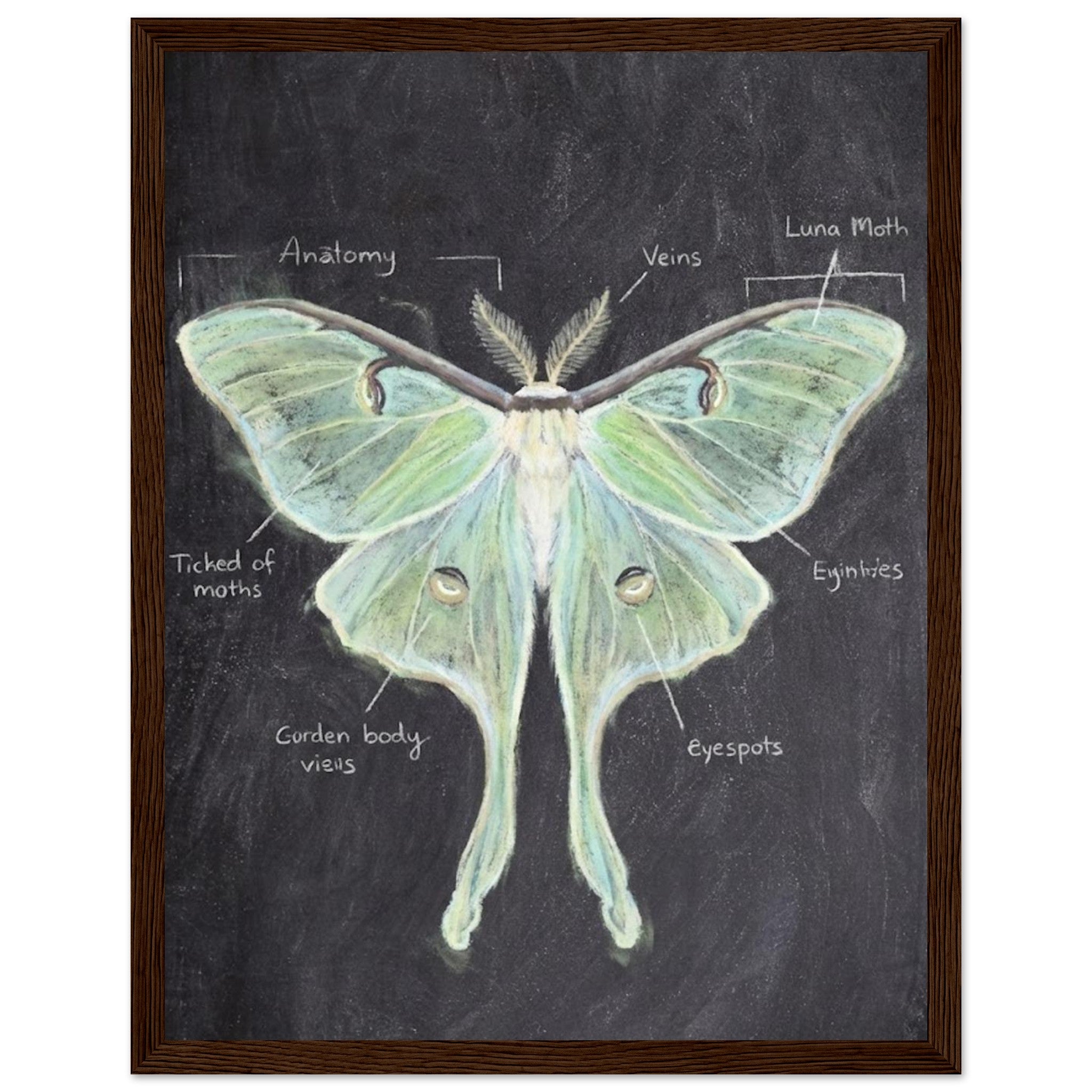 284eef68-f384-4674-85af-1ca966473f3f