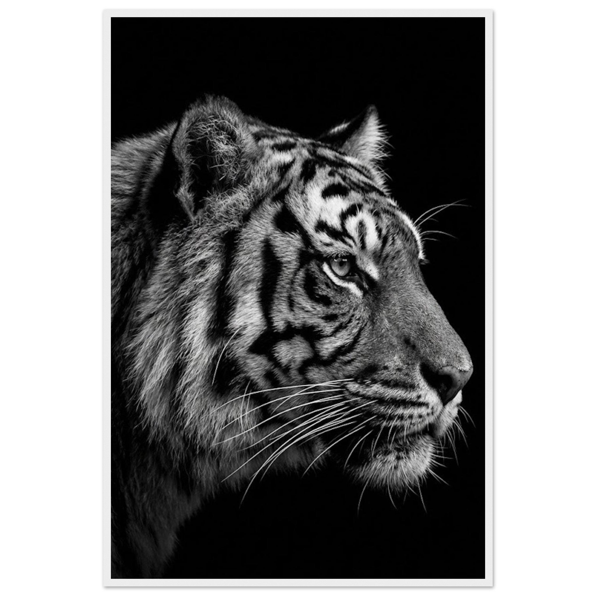 28a94b73-f81f-4dc7-b14d-819e60119517