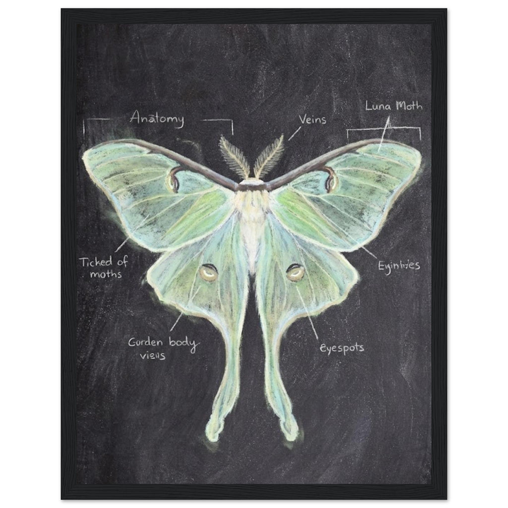 2a8469d3-5e2f-4de6-bca6-ba533410ba20