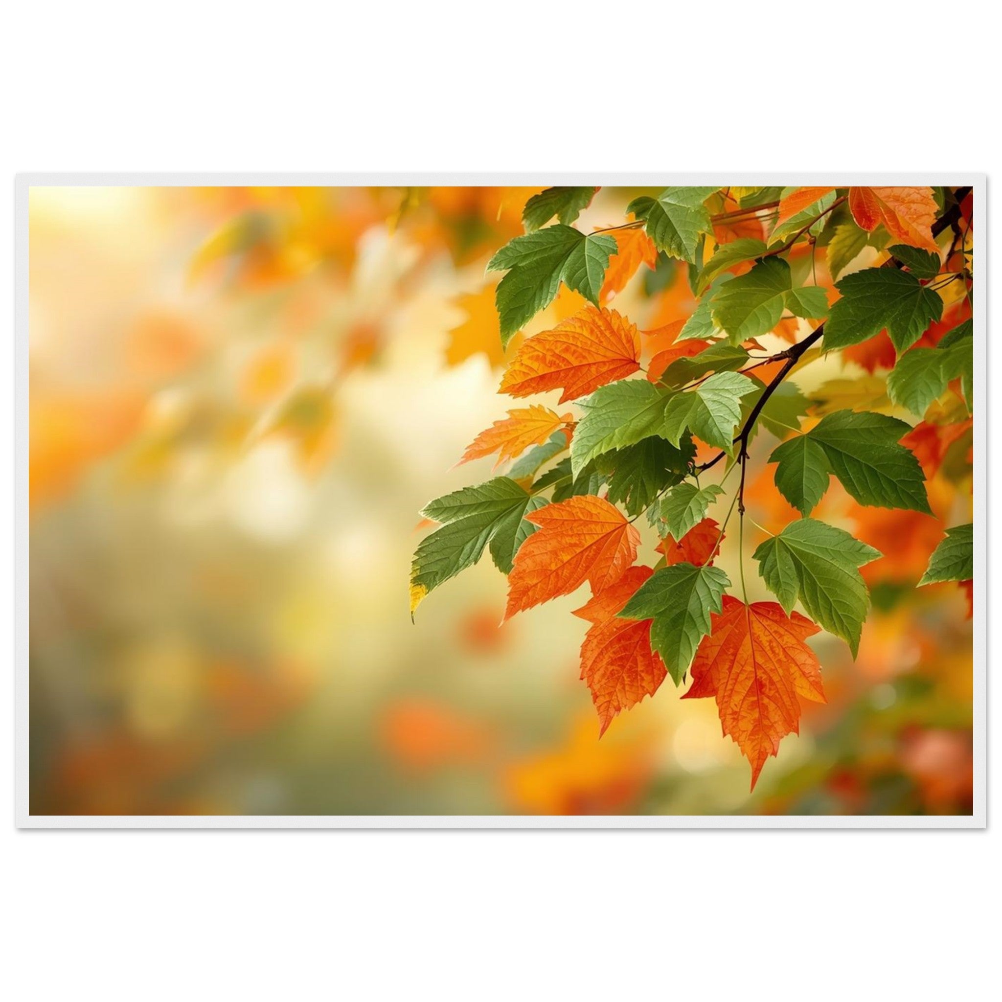 2c3cfa7c-f5b7-4d5f-a433-79bf6a520ac9