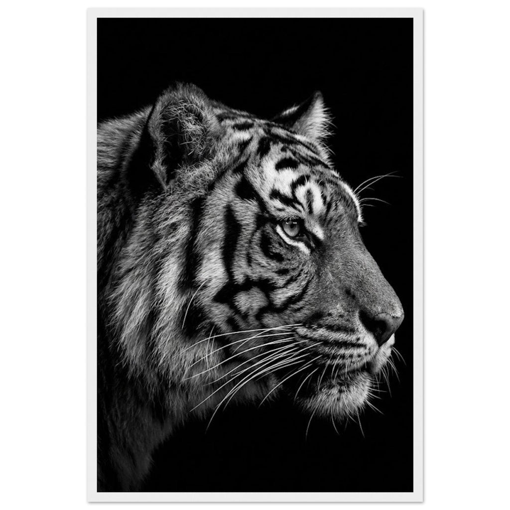 2c6c1237-c425-494a-8040-ea77e4dc6e33