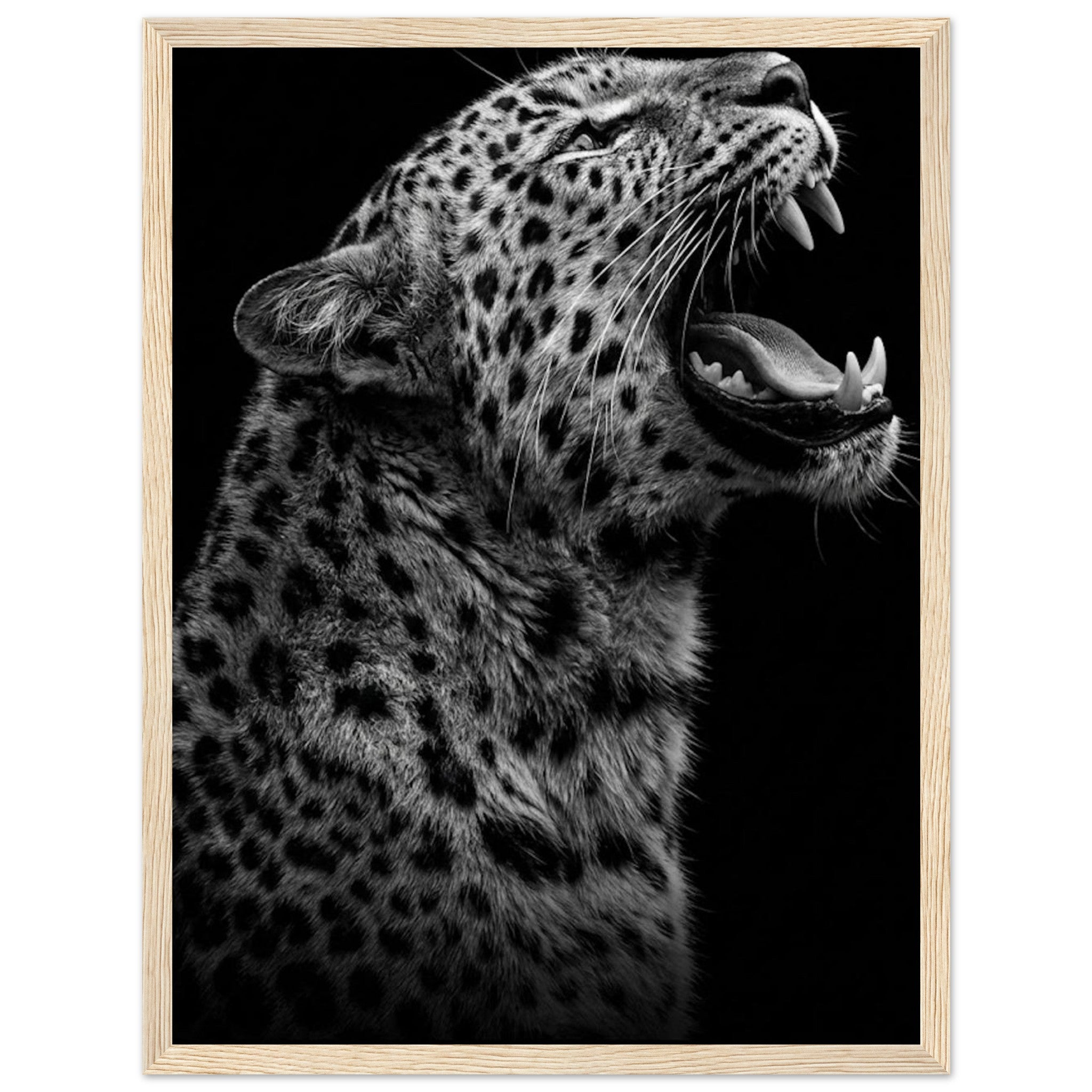 2dd3f5e8-ca97-4a49-b84f-bfd3dae062f0