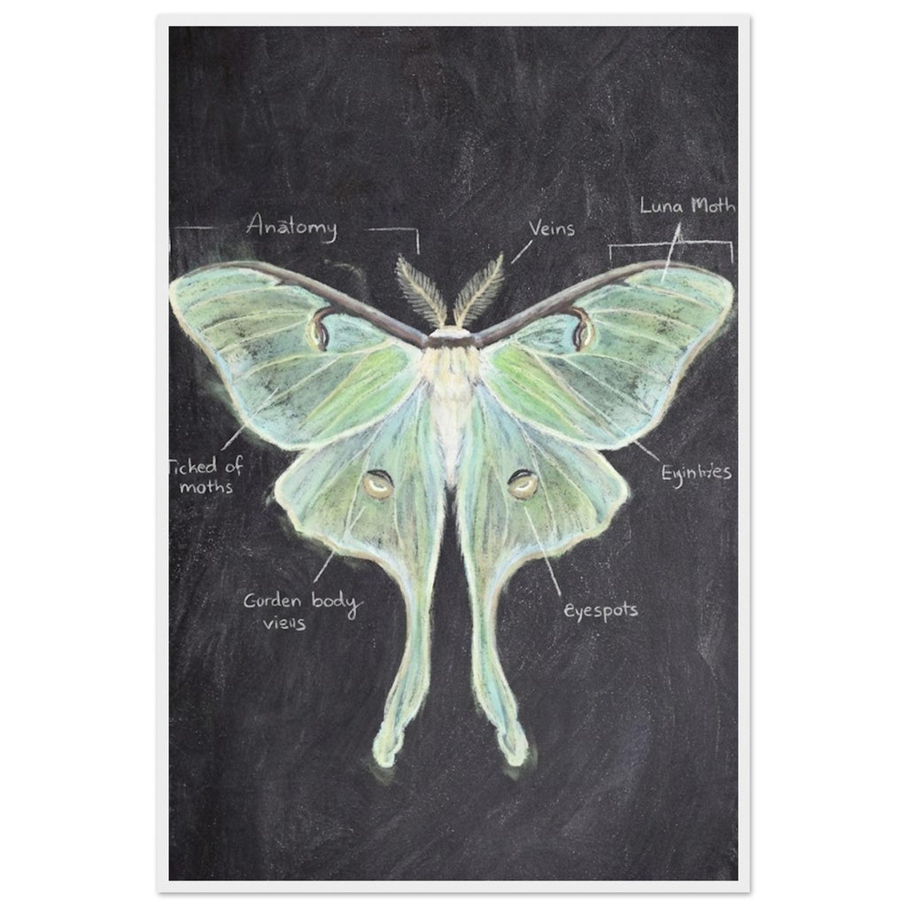 2e2b719e-5005-41fb-81e7-2c231f8f0393