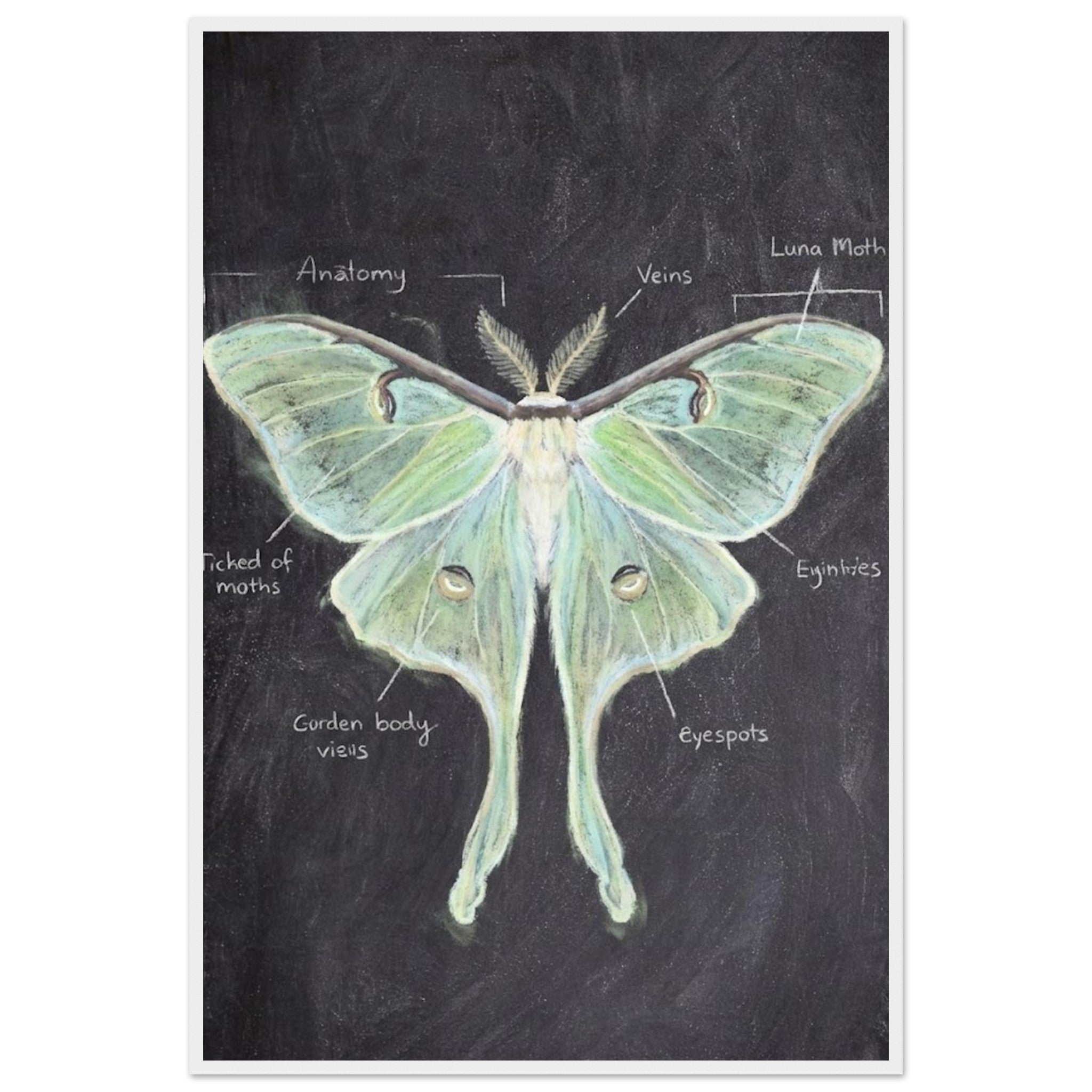 2e2b719e-5005-41fb-81e7-2c231f8f0393