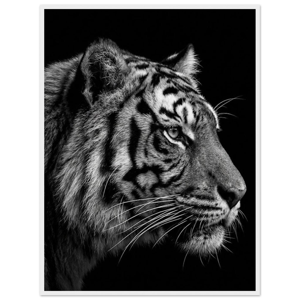 2ebbe84a-9a4e-45ea-ac29-4a689a6576d3